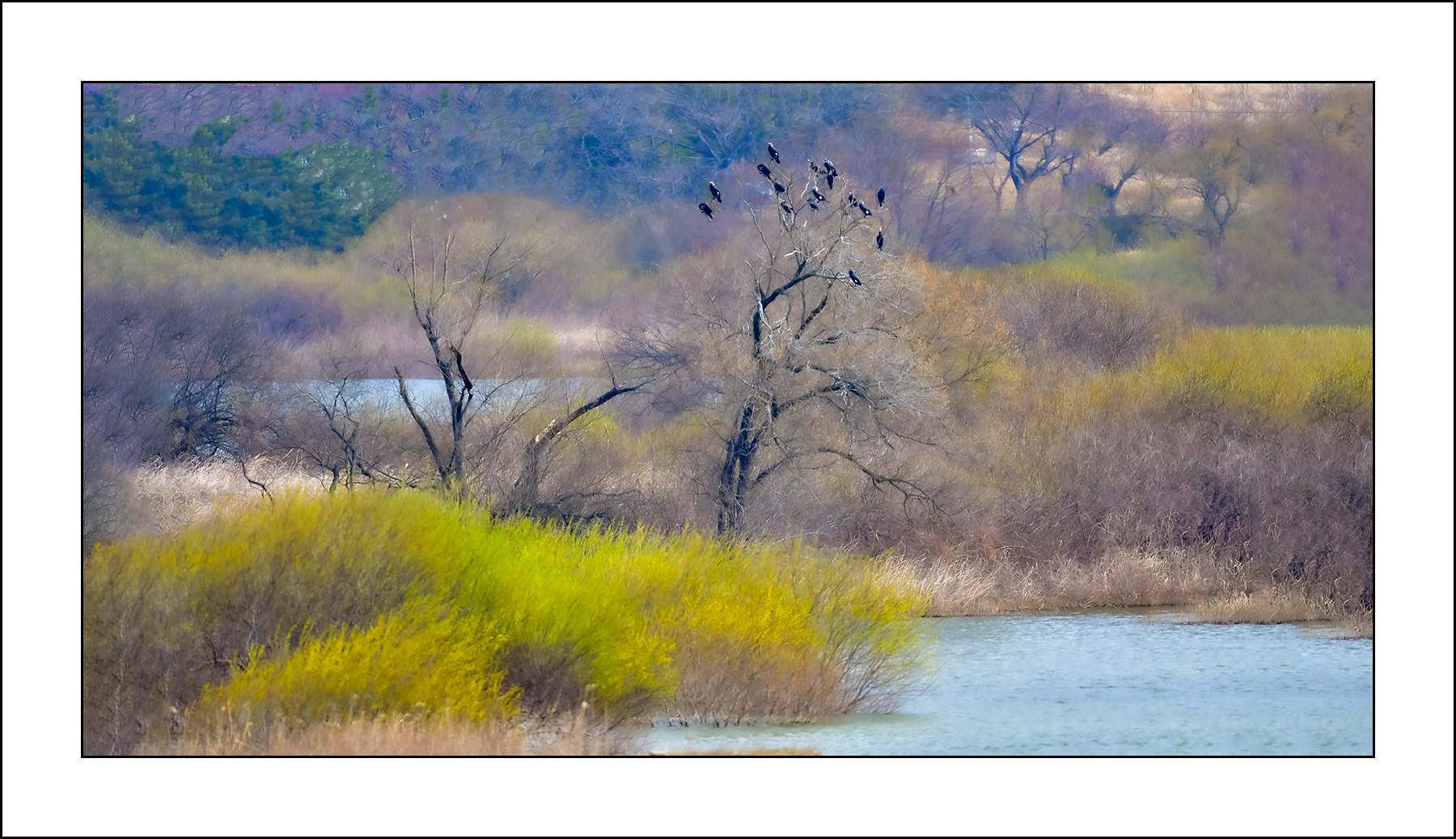   | PHOTO BY : 삿갓/정봉식  |