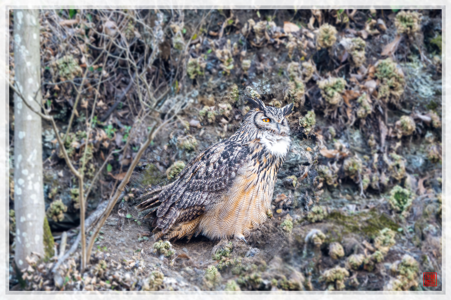 PHOTO BY  | NIKON Z 9 | 2024:03:21 17:43:24 | ISO-160 | 1/20 sec | f 6.3 | 840 mm | EV=-0.7 | ● WIDTH:1500 pixels  HEIGHT:999 pixels