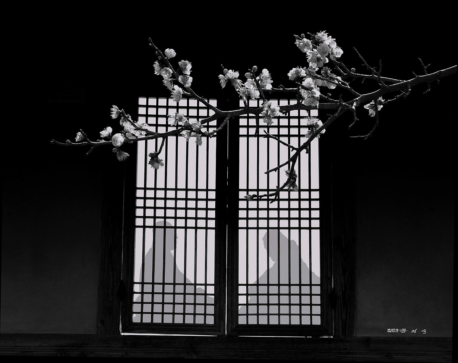   | PHOTO BY : 법연 권정욱  |