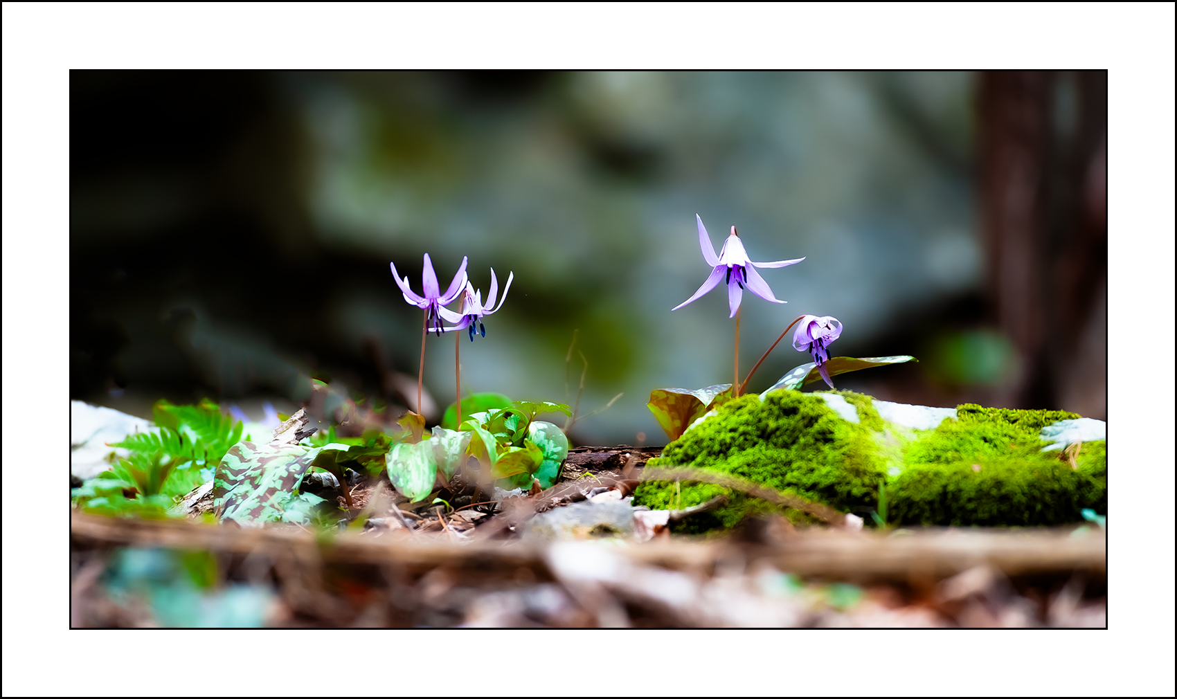   | PHOTO BY : 삿갓/정봉식  |