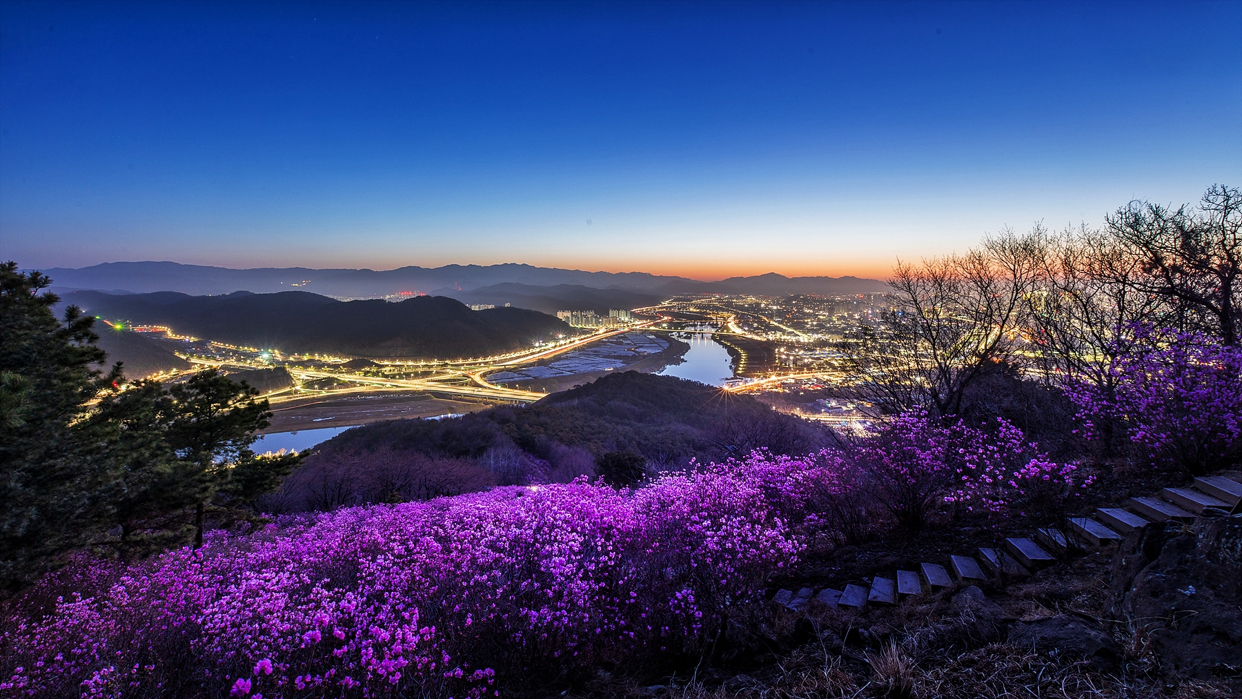   | PHOTO BY : 조현래  |