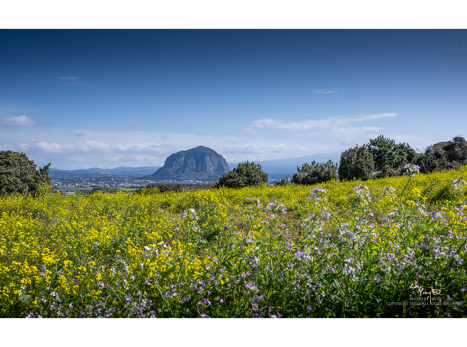 PHOTO BY  | NIKON Z 9 | 2024:03:27 10:05:34 | ISO-100 | 1/200 sec | f 11 | 35 mm | EV=0 | ● WIDTH:1600 pixels  HEIGHT:1189 pixels
