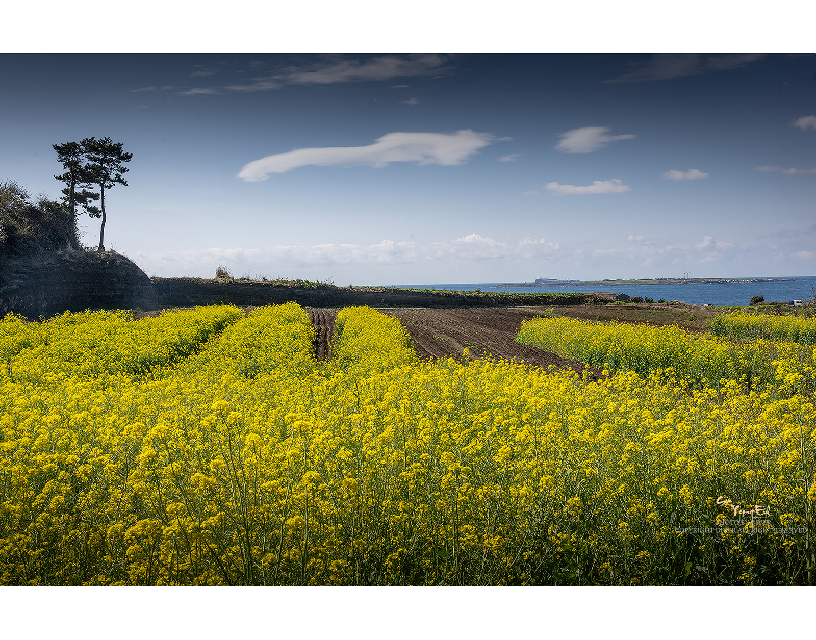 PHOTO BY  | NIKON Z 9 | 2024:03:27 10:03:39 | ISO-100 | 1/200 sec | f 11 | 35 mm | EV=0 | ● WIDTH:1600 pixels  HEIGHT:1255 pixels