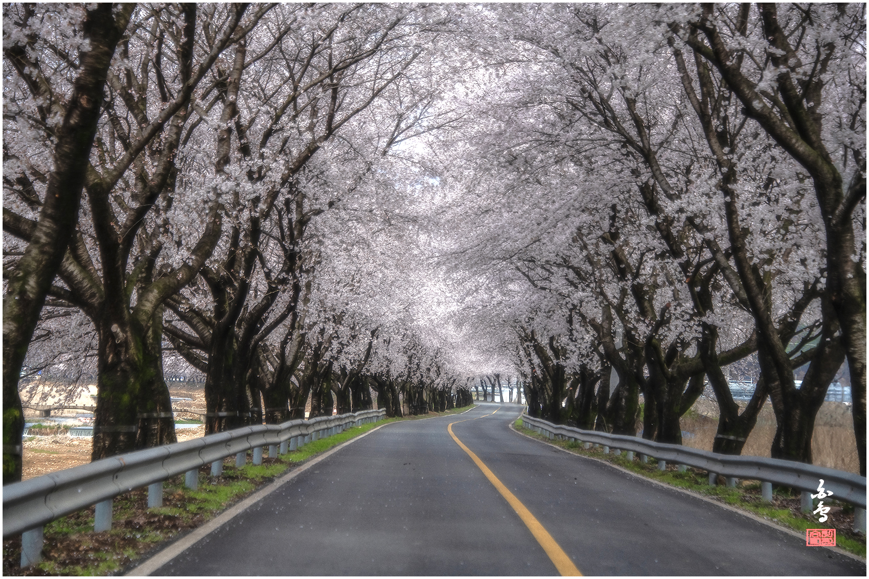 PHOTO BY SINSUKHEE | NIKON D850 | 2024:04:04 09:04:15 | ISO-400 | 1/2000 sec | f 5.3 | 112 mm | EV=-1 | ● WIDTH:1700 pixels  HEIGHT:1133 pixels