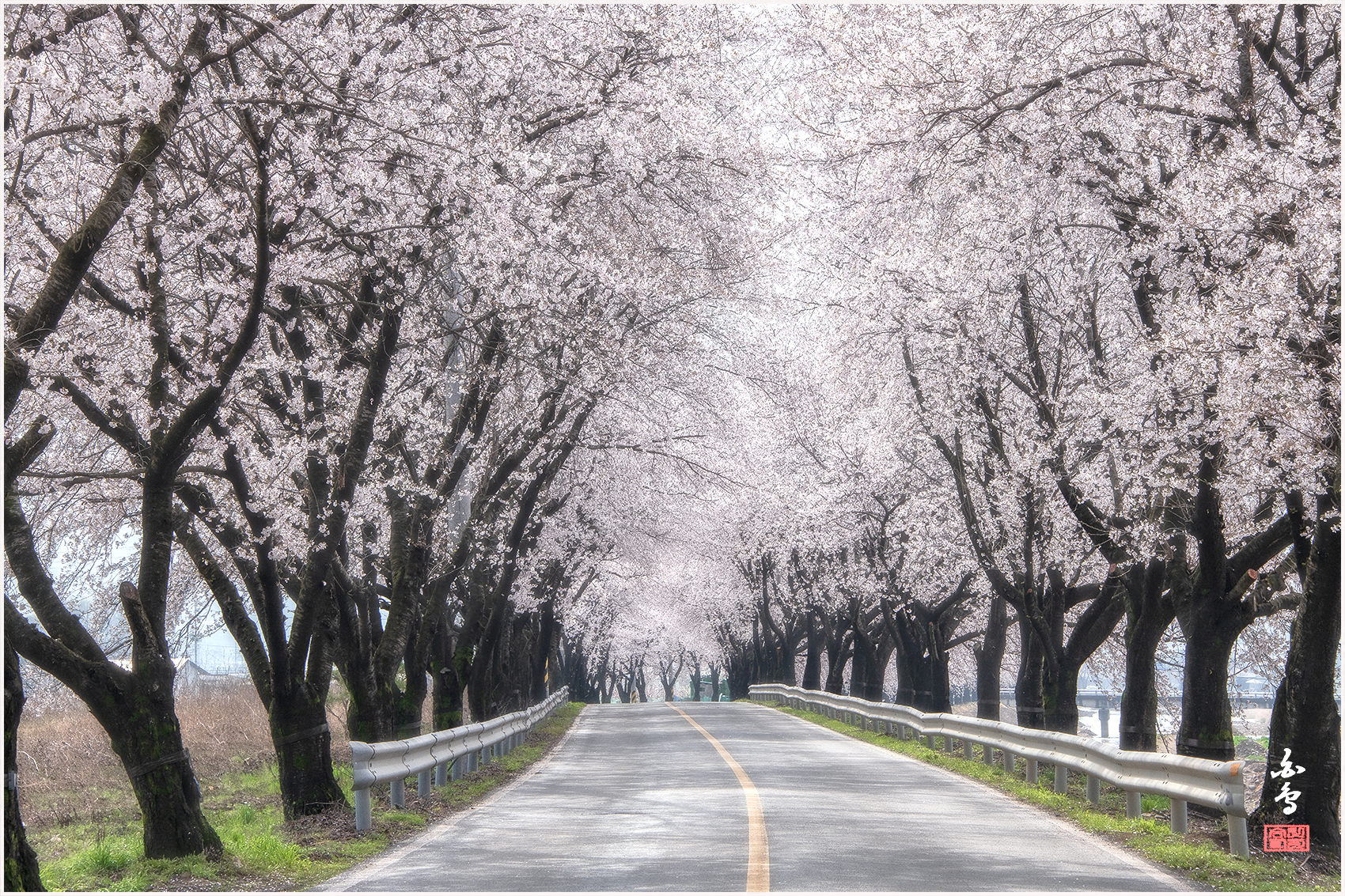 PHOTO BY SINSUKHEE | NIKON D850 | 2024:04:04 08:59:12 | ISO-400 | 1/200 sec | f 11 | 105 mm | EV=1 | ● WIDTH:1700 pixels  HEIGHT:1133 pixels