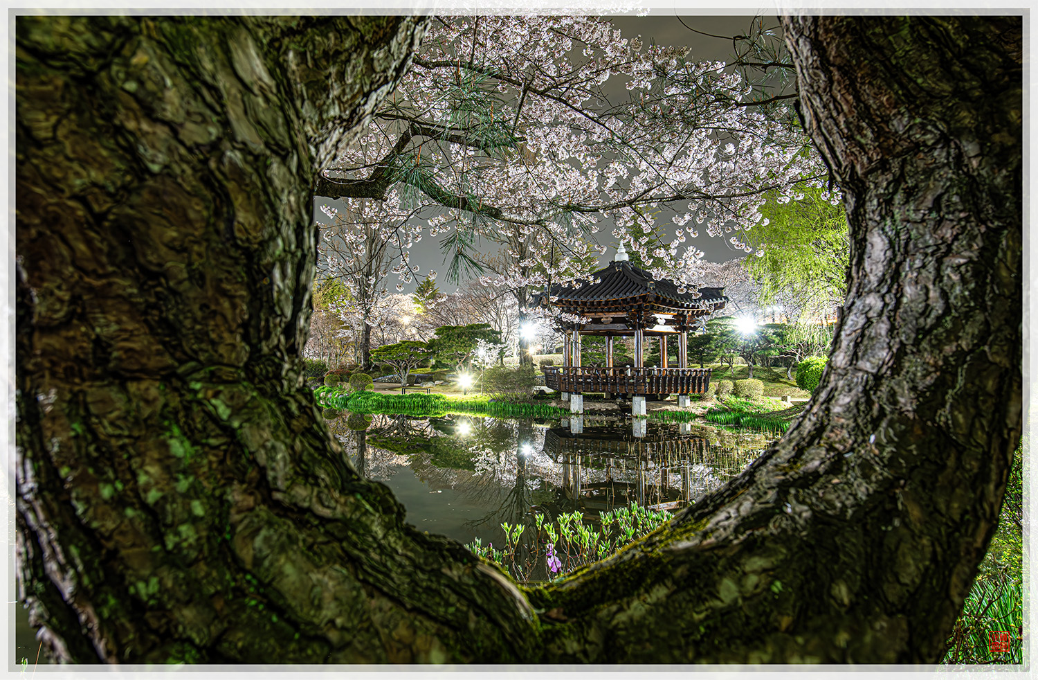 PHOTO BY  | NIKON D850 | 2024:04:05 04:29:53 | ISO-400 | 25/1 sec | f 10 | 20 mm | EV=0 | ● WIDTH:1500 pixels  HEIGHT:982 pixels