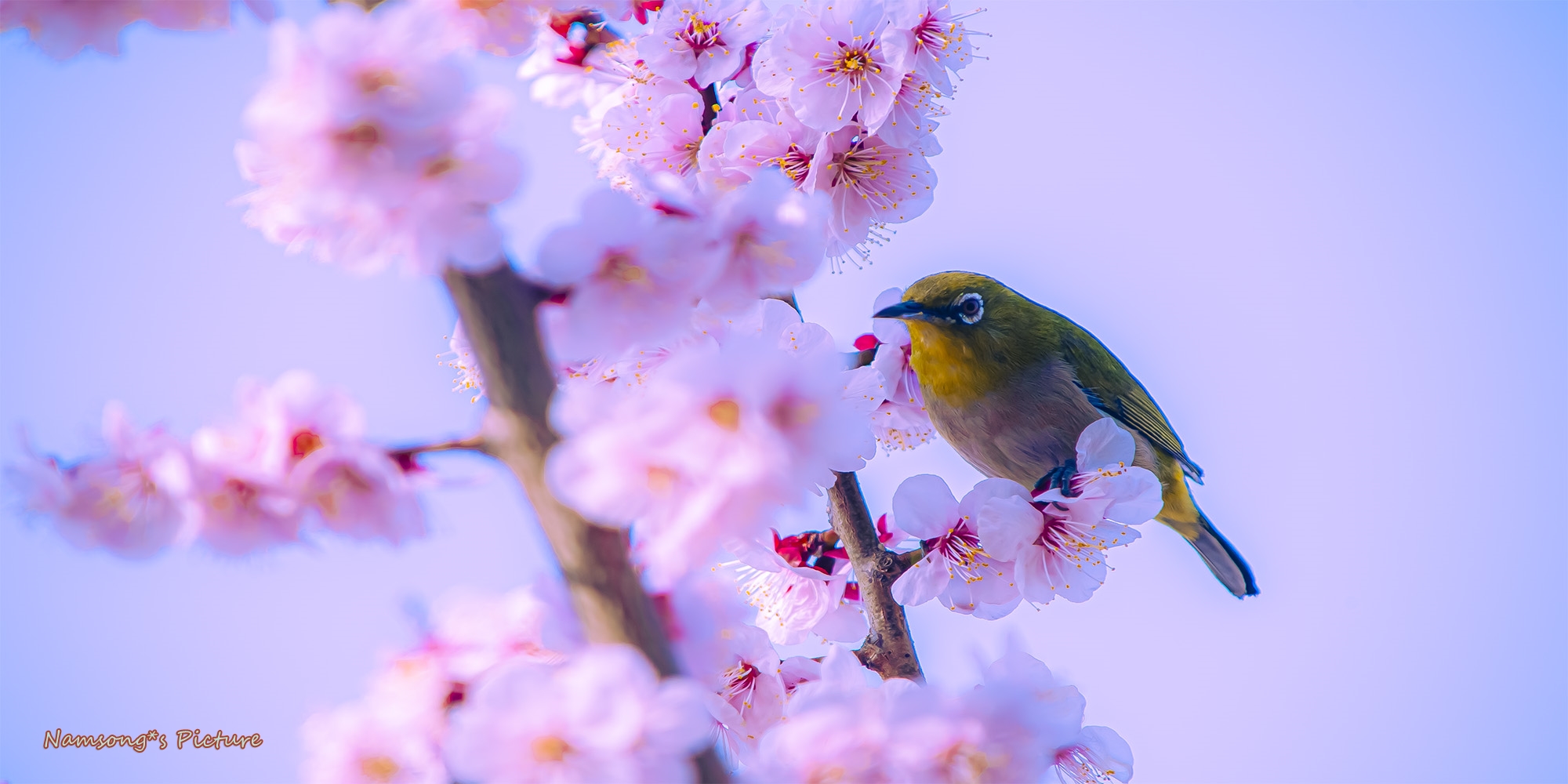   | PHOTO BY : 南松  |
