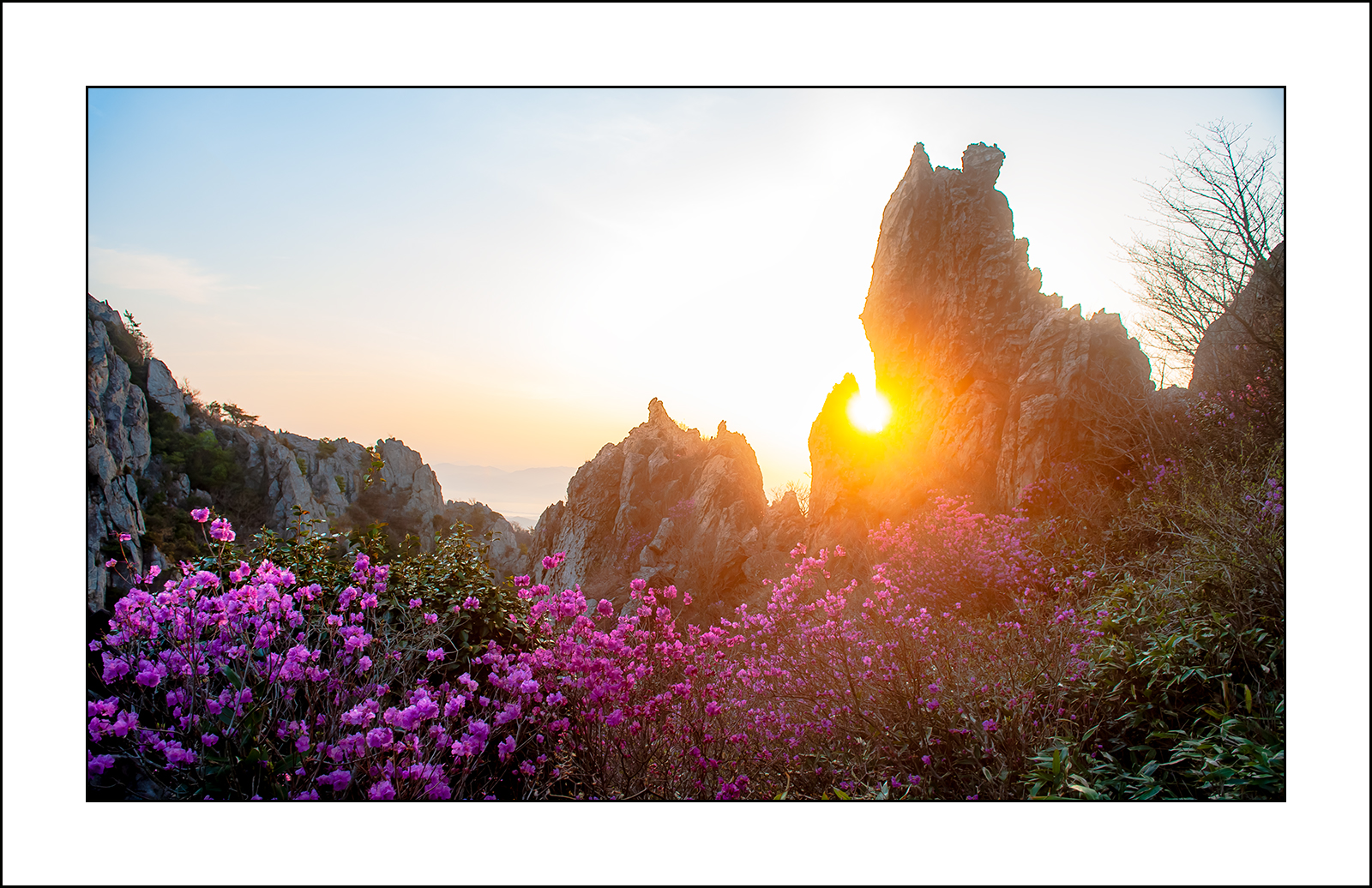   | PHOTO BY : 삿갓/정봉식  |