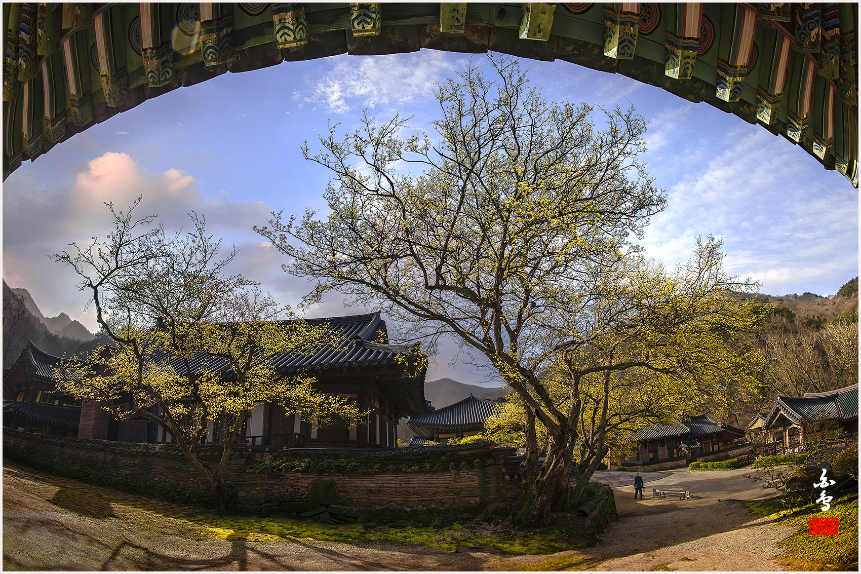 PHOTO BY SINSUKHEE | NIKON D850 | 2024:03:29 08:38:44 | ISO-400 | 1/2500 sec | f 11 | 16 mm | EV=-1.3 | ● WIDTH:1700 pixels  HEIGHT:1133 pixels
