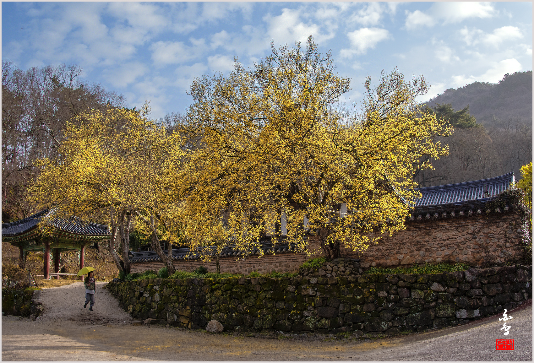 PHOTO BY SINSUKHEE | NIKON D850 | 2024:03:29 08:14:19 | ISO-400 | 1/500 sec | f 8 | 28 mm | EV=0 | ● WIDTH:1700 pixels  HEIGHT:1156 pixels