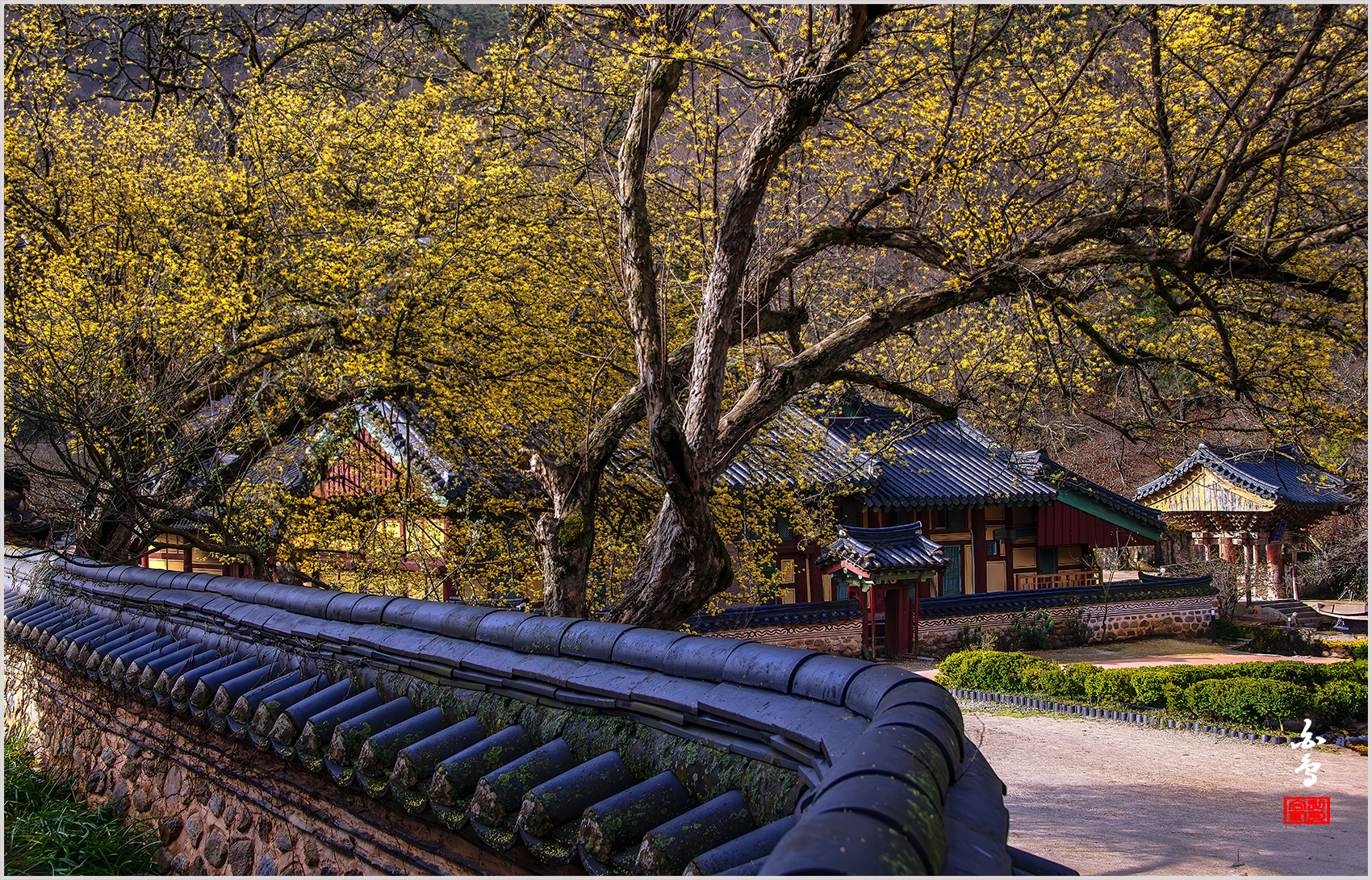PHOTO BY SINSUKHEE | NIKON D850 | 2024:03:29 08:32:19 | ISO-400 | 1/400 sec | f 11 | 45 mm | EV=-1.3 | ● WIDTH:1700 pixels  HEIGHT:1091 pixels