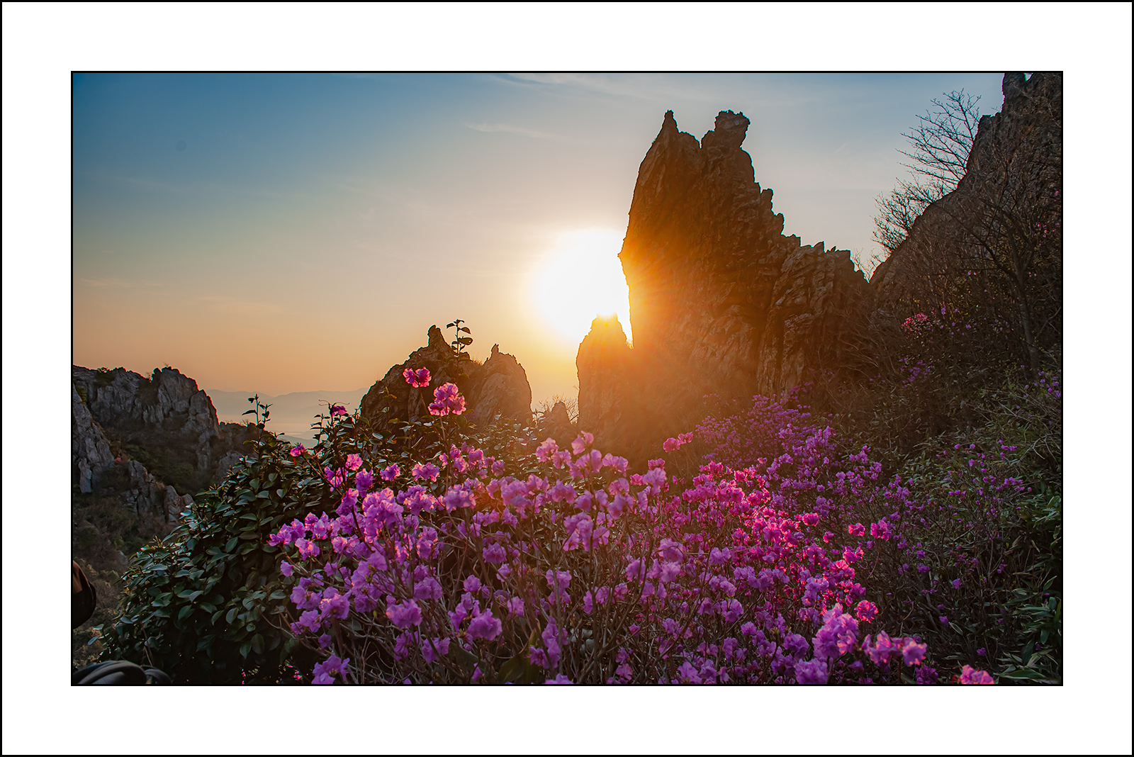   | PHOTO BY : 삿갓/정봉식  |