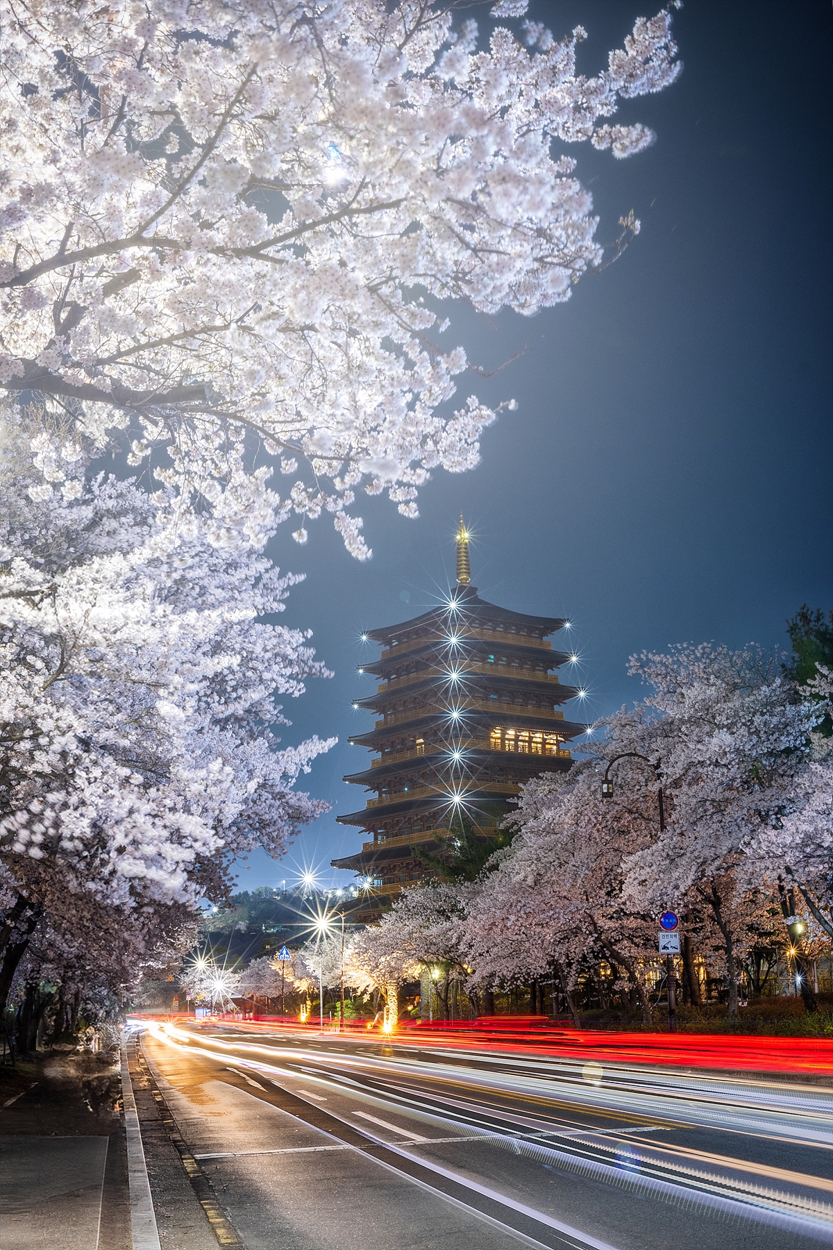   | PHOTO BY : 조현래  |