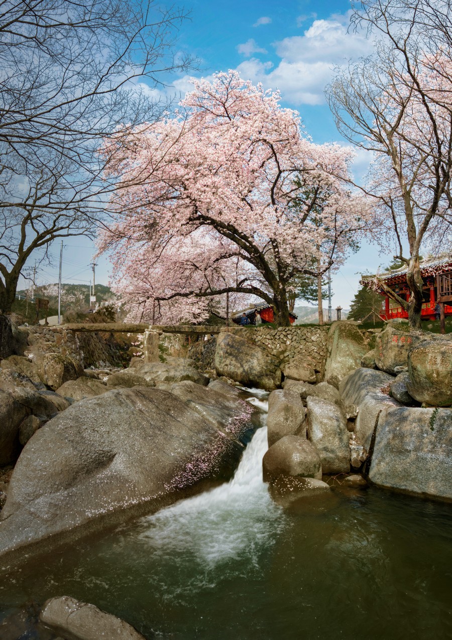   | PHOTO BY : jaick/제익  |