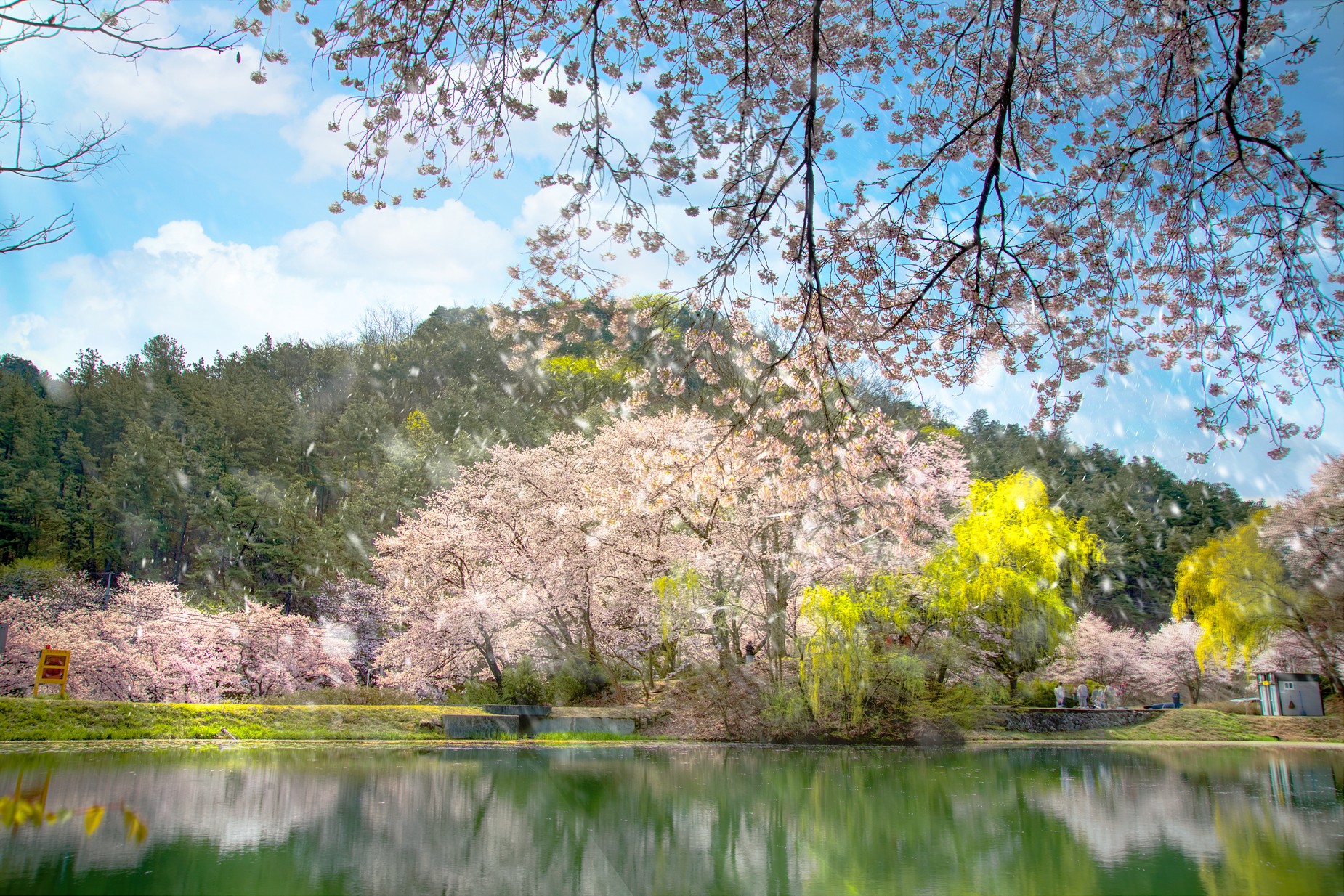 PHOTO BY JAICK | Canon EOS 5D Mark IV | 2024:04:10 11:08:35 | ISO-100 | 1/60 sec | f 11 | 24 mm | EV=0 | ● WIDTH:1850 pixels  HEIGHT:1234 pixels