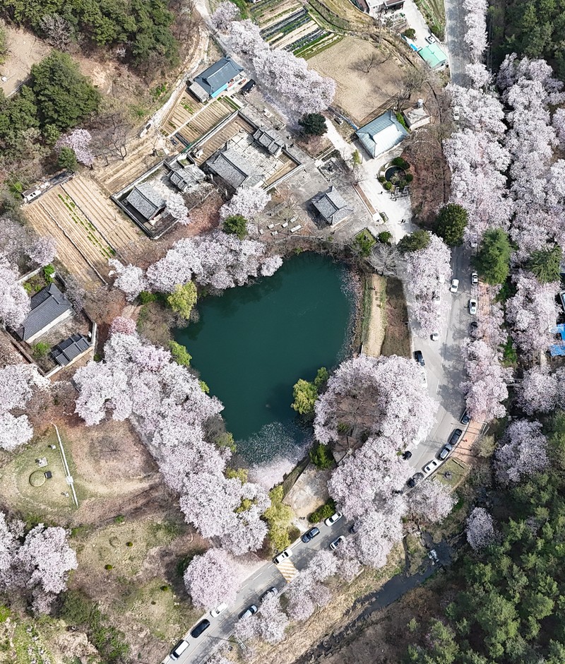 PHOTO BY  | FC8282 | 2024:04:10 10:37:58 | ISO-100 | 1/1250 sec | f 1.7 | 6.72 mm | EV=429496729.3 | ● WIDTH:800 pixels  HEIGHT:940 pixels