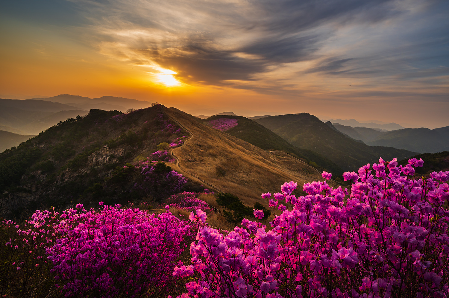 PHOTO BY  | NIKON Z 6_2 | 2024:04:13 06:24:41 | ISO-200 | 1/60 sec | f 16 | 19.5 mm | EV=0 | ● WIDTH:1500 pixels  HEIGHT:998 pixels