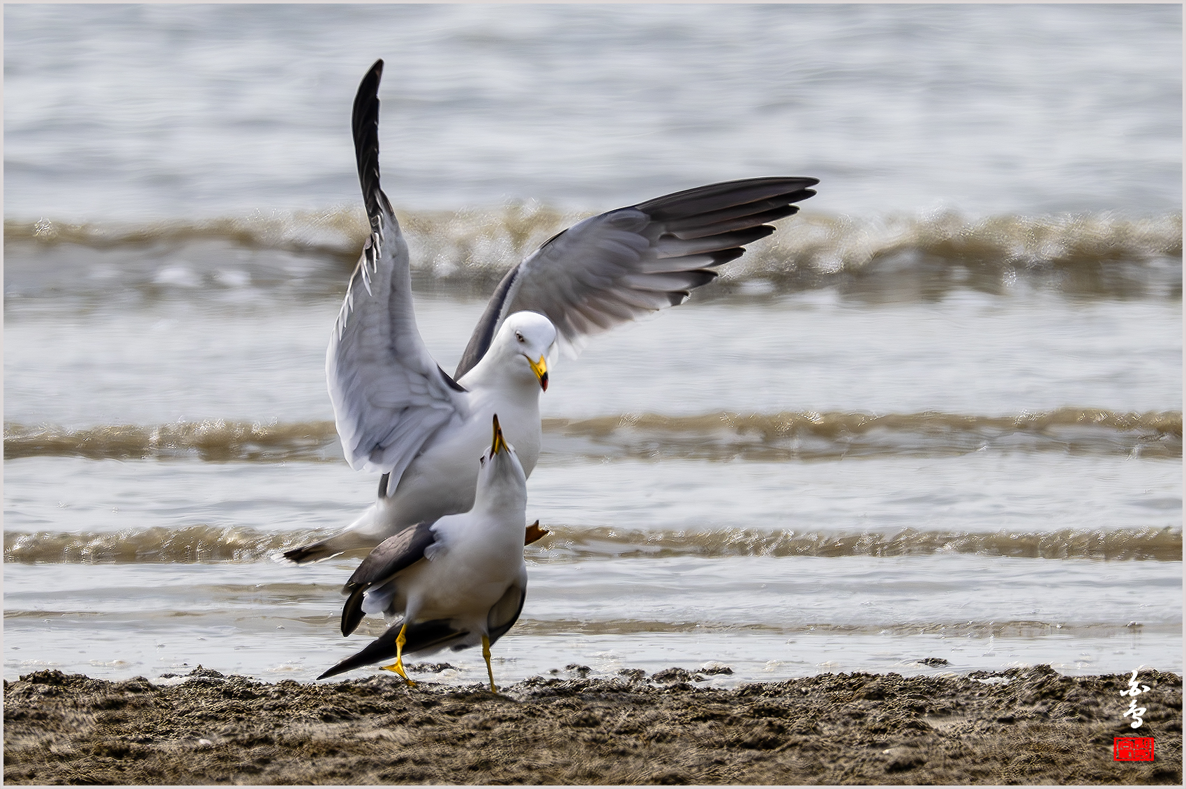PHOTO BY  | NIKON Z 9 | 2024:04:11 14:56:37 | ISO-800 | 1/4000 sec | f 8 | 1176 mm | EV=0.3 | ● WIDTH:1700 pixels  HEIGHT:1132 pixels