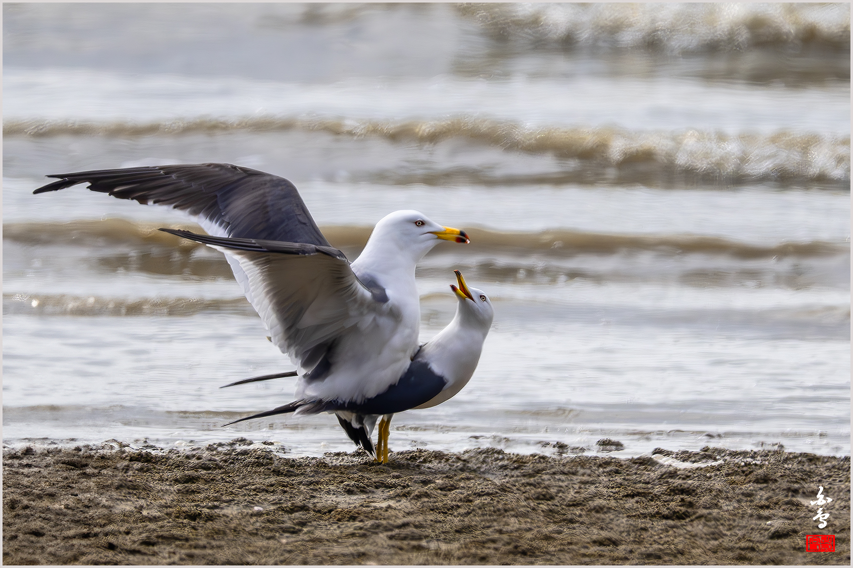 PHOTO BY  | NIKON Z 9 | 2024:04:11 14:56:21 | ISO-800 | 1/3200 sec | f 8 | 1176 mm | EV=0.3 | ● WIDTH:1700 pixels  HEIGHT:1132 pixels