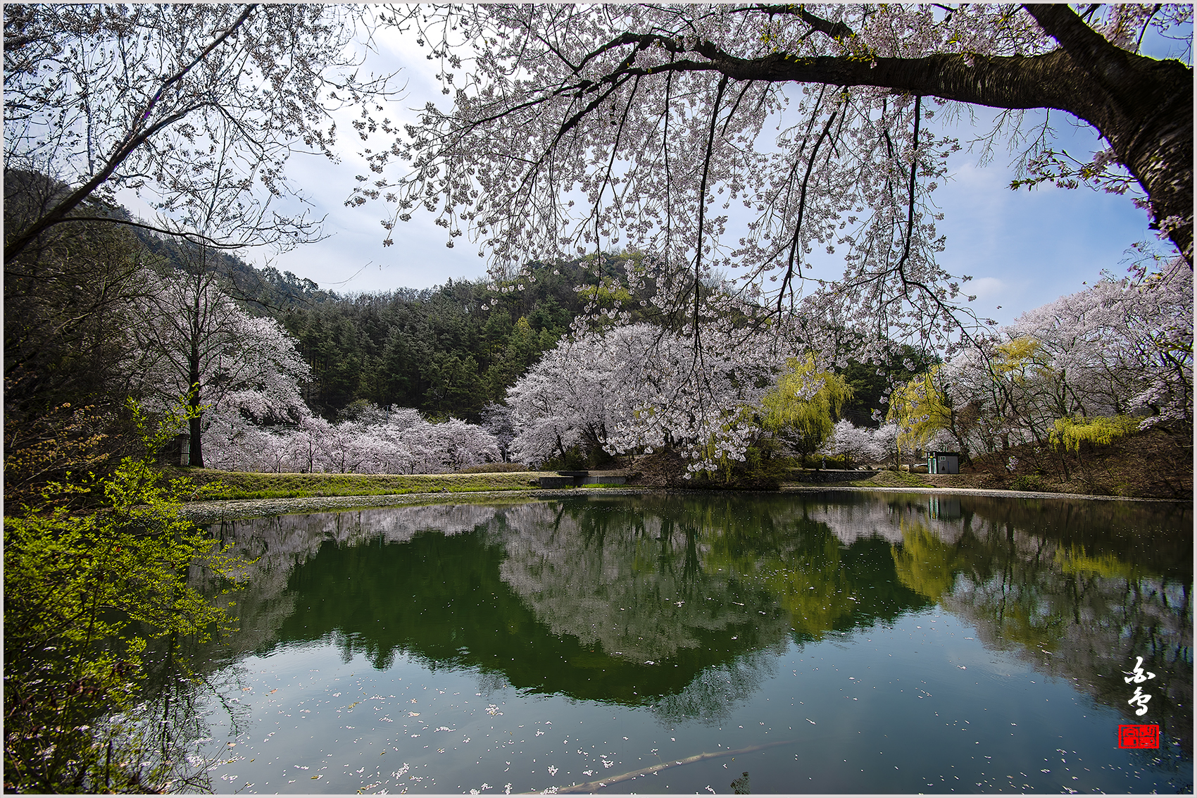 PHOTO BY SINSUKHEE | NIKON D850 | 2024:04:10 10:37:40 | ISO-200 | 1/500 sec | f 11 | 14 mm | EV=-0.3 | ● WIDTH:1700 pixels  HEIGHT:1133 pixels