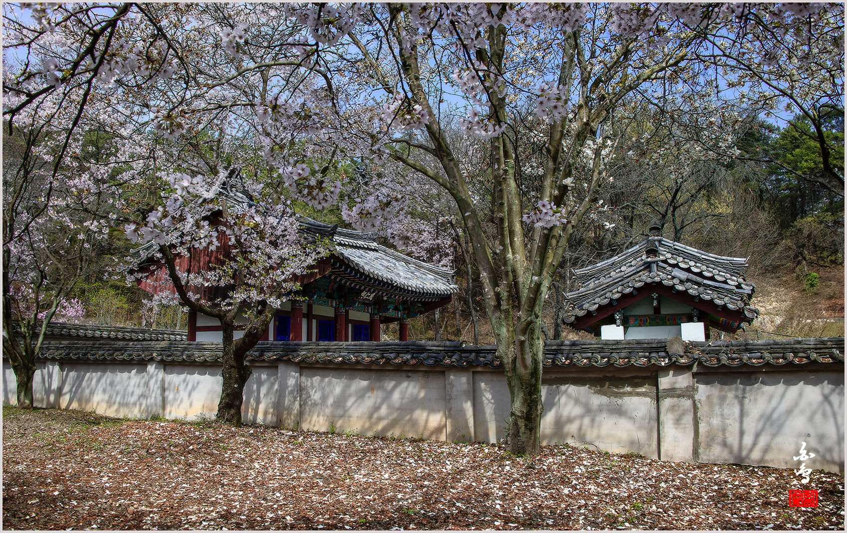 PHOTO BY SINSUKHEE | NIKON D850 | 2024:04:10 10:33:47 | ISO-200 | 1/250 sec | f 11 | 28 mm | EV=-0.3 | ● WIDTH:1700 pixels  HEIGHT:1069 pixels
