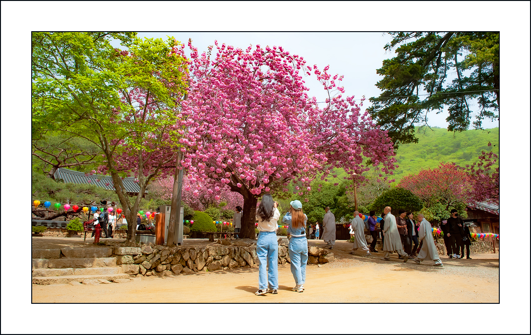   | PHOTO BY : 삿갓/정봉식  |