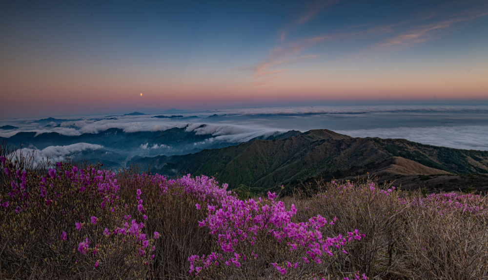 PHOTO BY CHUNGHYUNSUK | NIKON D850 | 2024:04:25 05:32:30 | ISO-200 | 1/10 sec | f 10 | 16 mm | EV=0.3 | ● WIDTH:1000 pixels  HEIGHT:573 pixels