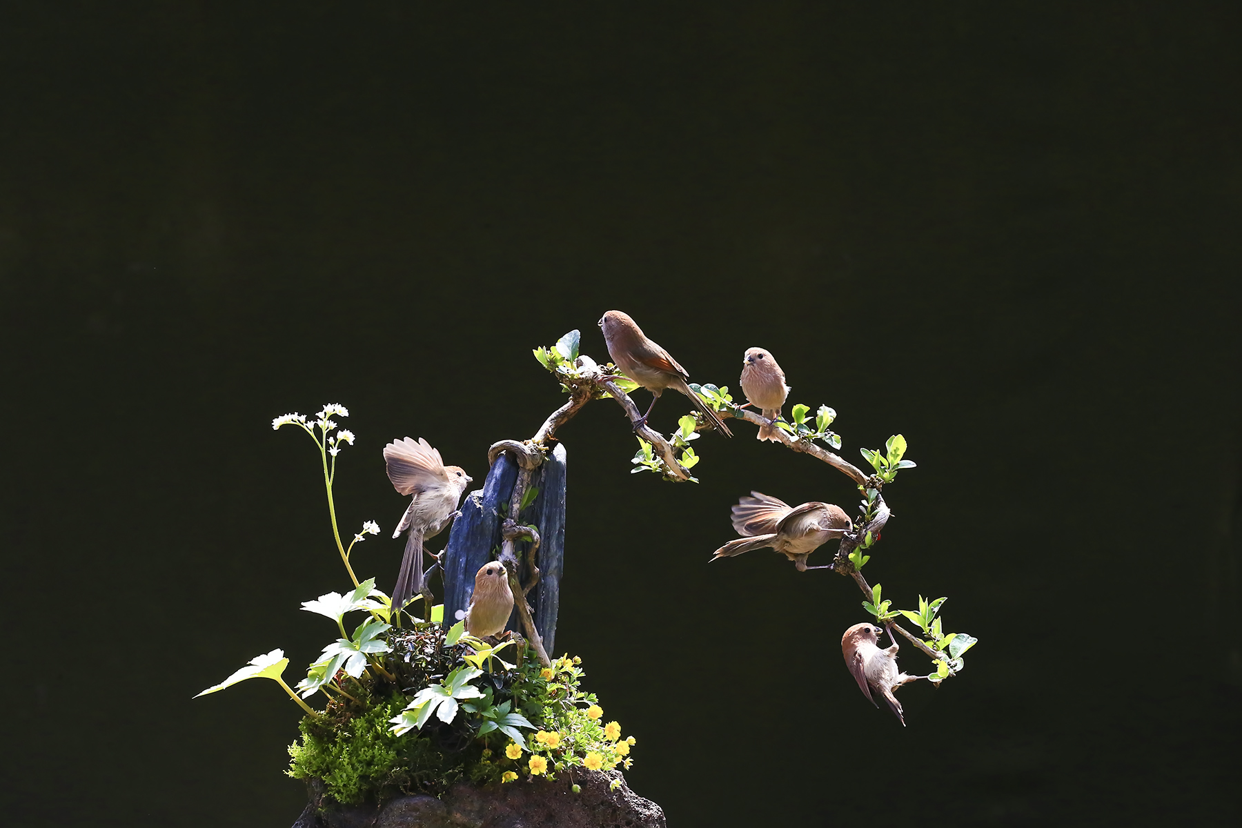 PHOTO BY HNalim | Canon EOS 7D Mark II | 2024:04:25 17:07:38 | ISO-1000 | 1/800 sec | f 18 | 104 mm | EV=0 | ● WIDTH:1800 pixels  HEIGHT:1200 pixels