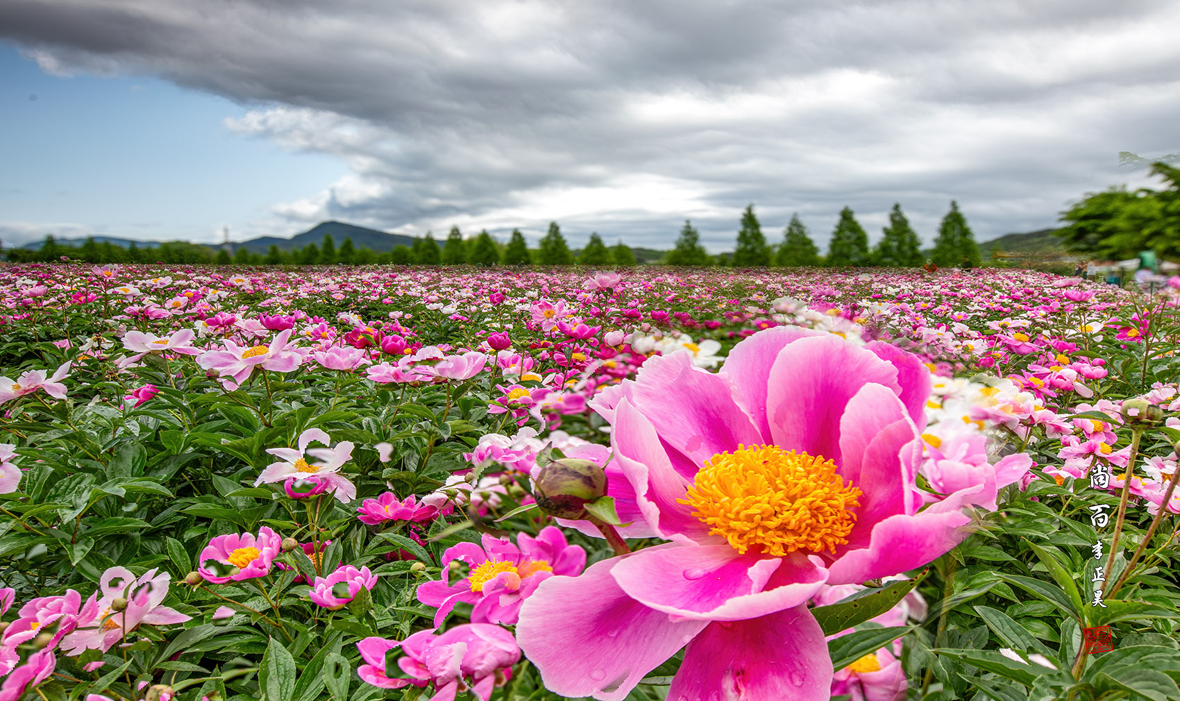 PHOTO BY  | Canon EOS 5D Mark IV | 2024:05:06 09:33:45 | ISO-100 | 1/25 sec | f 11 | 23 mm | EV=0 | ● WIDTH:1700 pixels  HEIGHT:1010 pixels