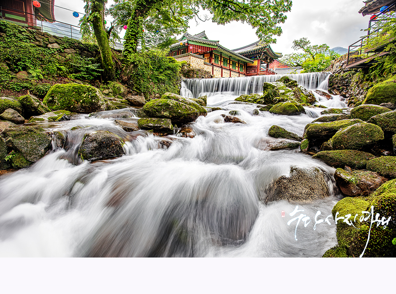   | PHOTO BY : 수당/박상돈  |