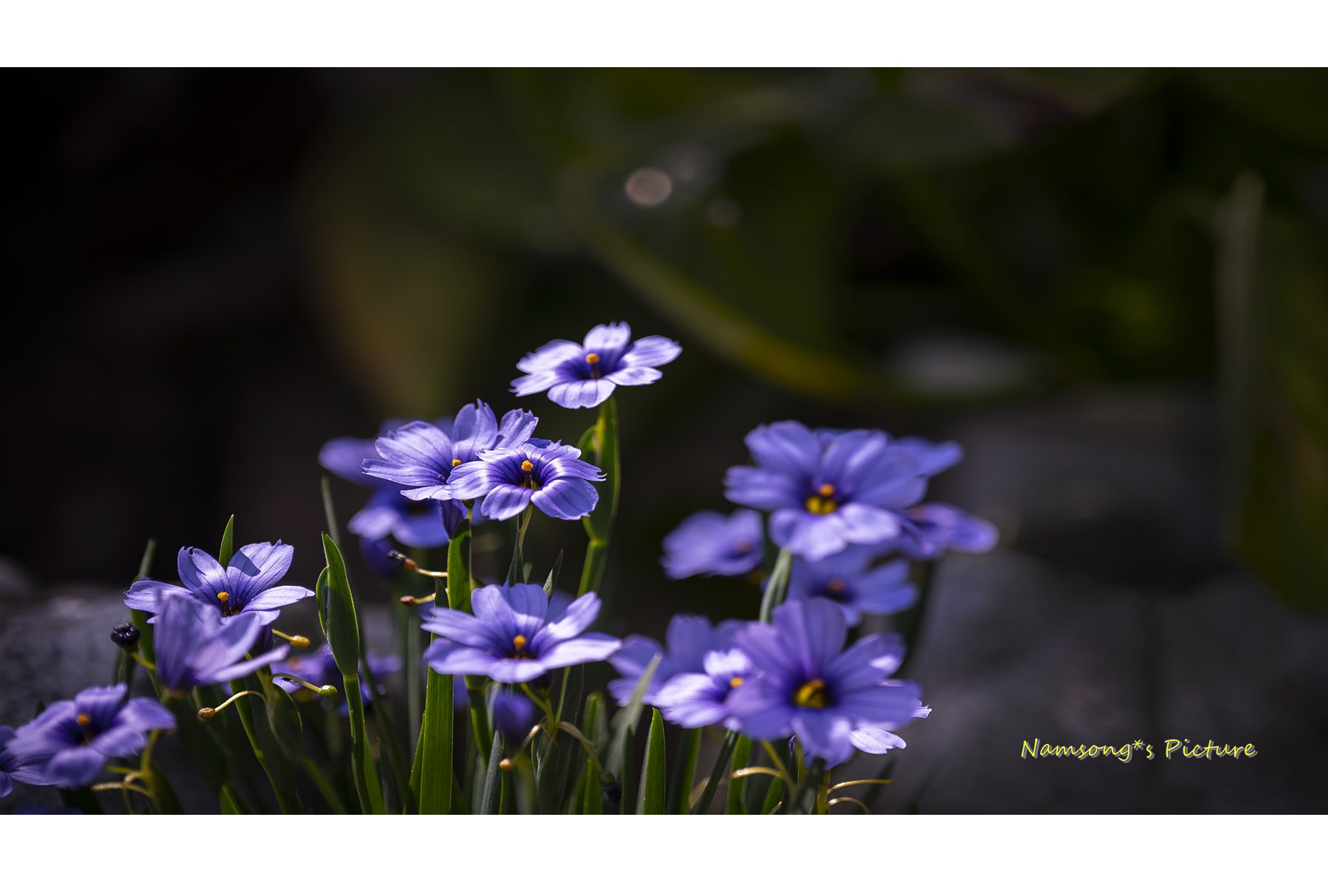 PHOTO BY HAN.JONG.SOO | NIKON Z 6 | 2022:05:08 10:30:03 | ISO-100 | 1/640 sec | f 4 | 120 mm | EV=0 | ● WIDTH:1800 pixels  HEIGHT:1013 pixels