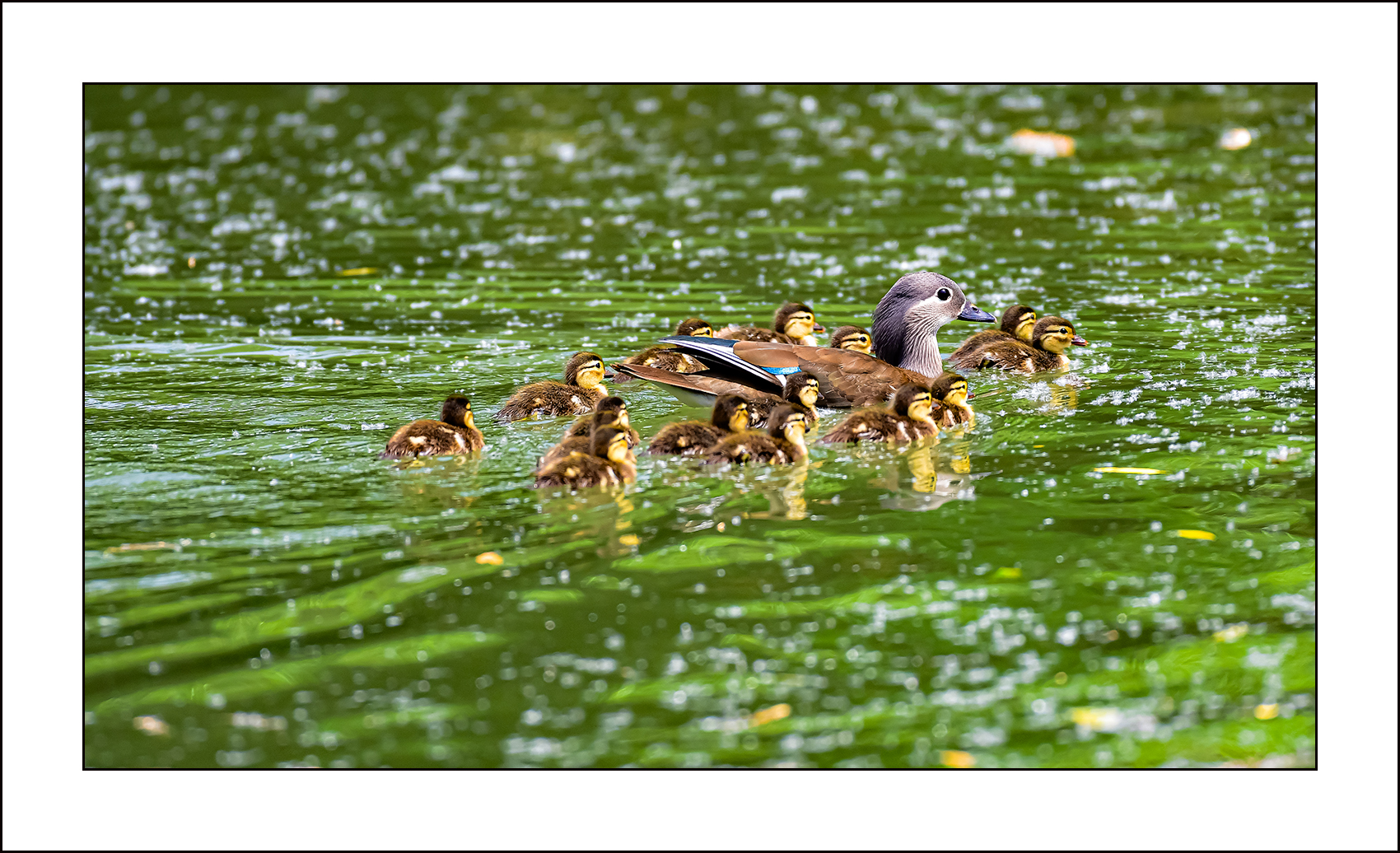   | PHOTO BY : 삿갓/정봉식  |