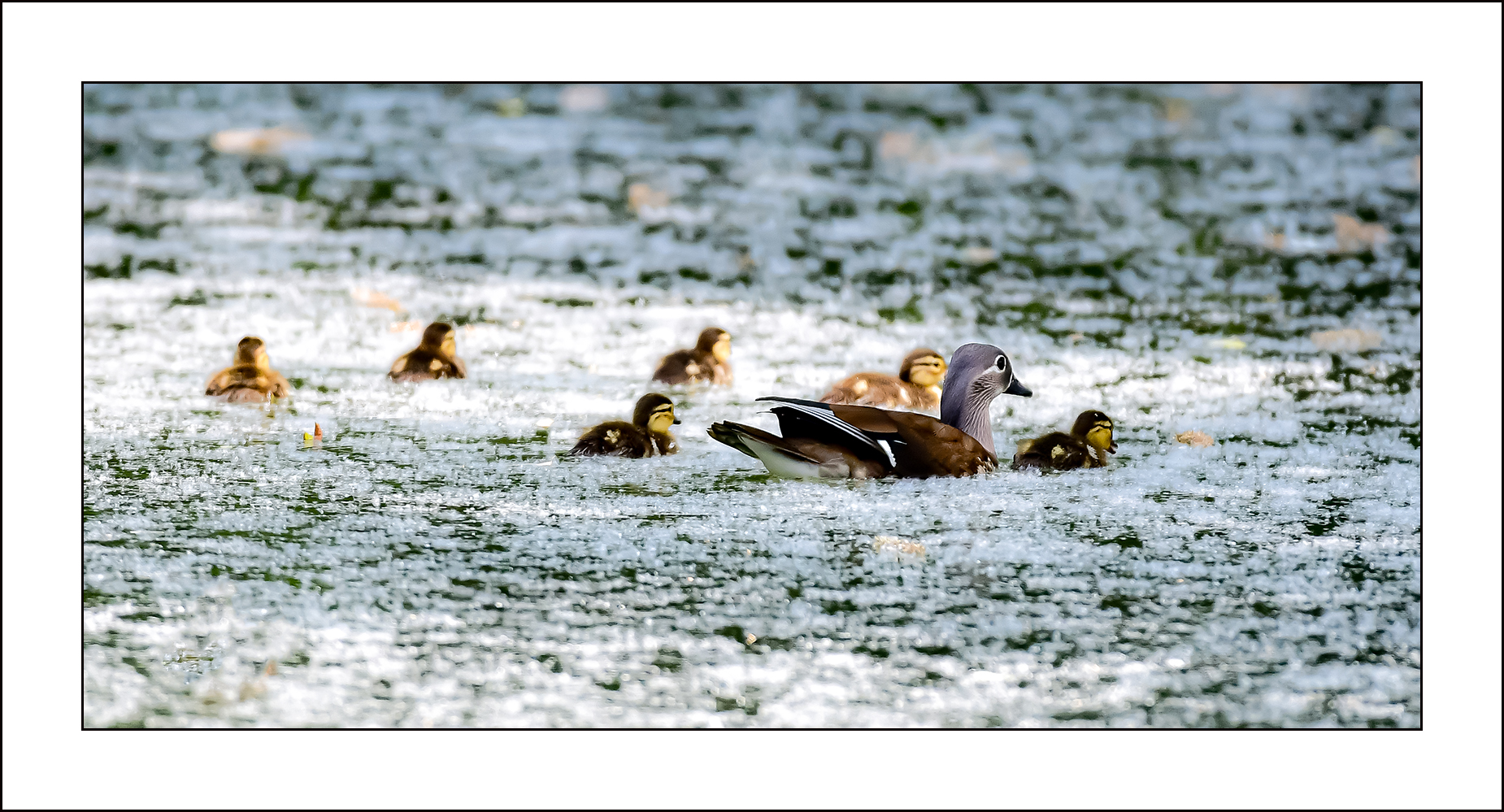   | PHOTO BY : 삿갓/정봉식  |