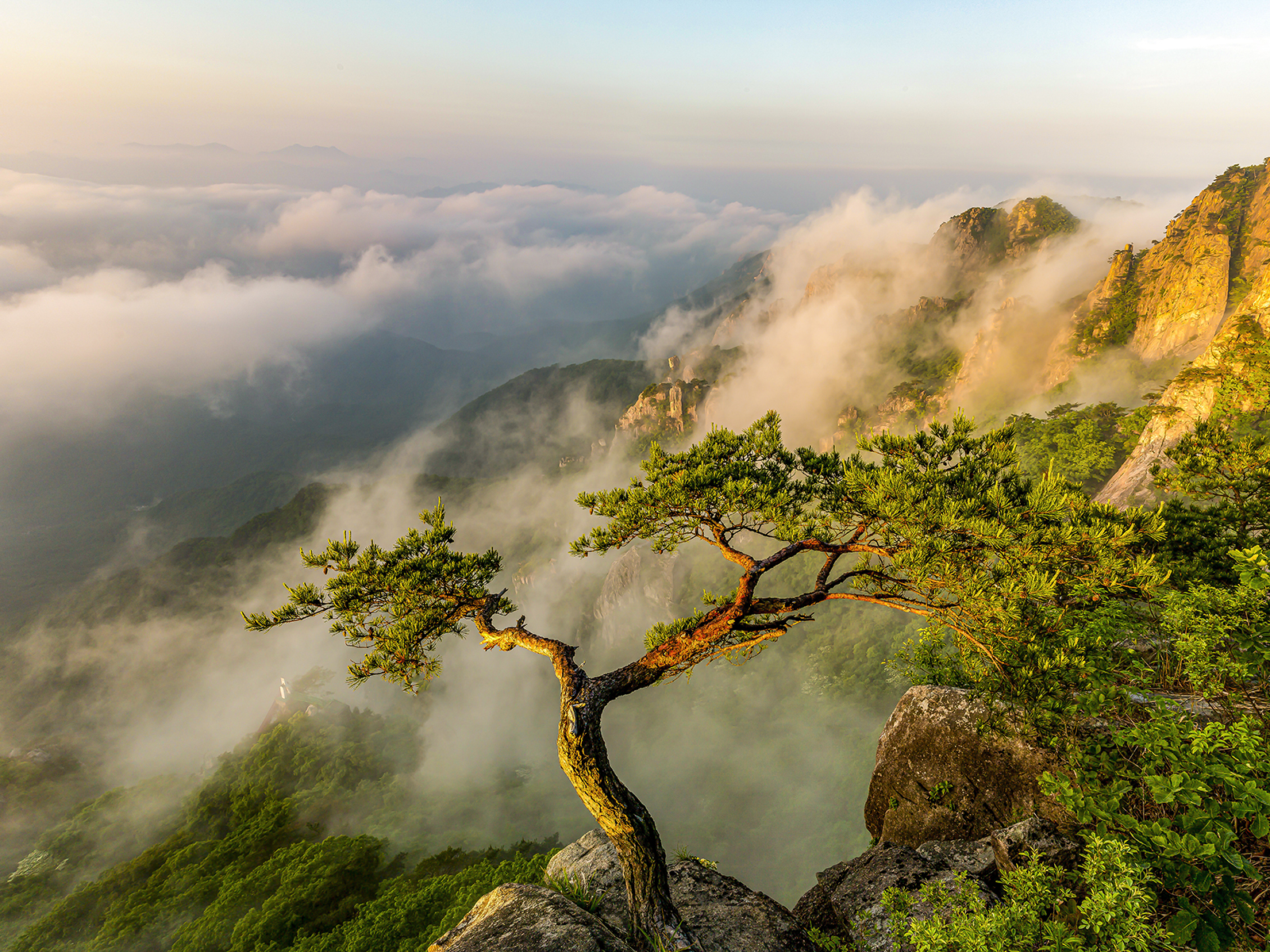 PHOTO BY MINKYUKIM | Canon EOS 5D Mark III | 2024:05:21 05:30:00 | ISO-200 | 1/60 sec | f 11 | 24 mm | EV=0 | ● WIDTH:1600 pixels  HEIGHT:1200 pixels