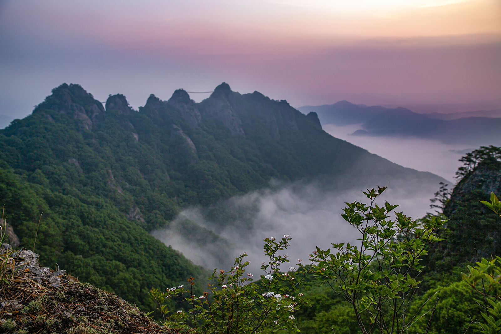 PHOTO BY MINKYUKIM | Canon EOS 5D Mark III | 2024:05:22 04:54:24 | ISO-200 | 1/40 sec | f 5.6 | 24 mm | EV=0 | ● WIDTH:1600 pixels  HEIGHT:1067 pixels