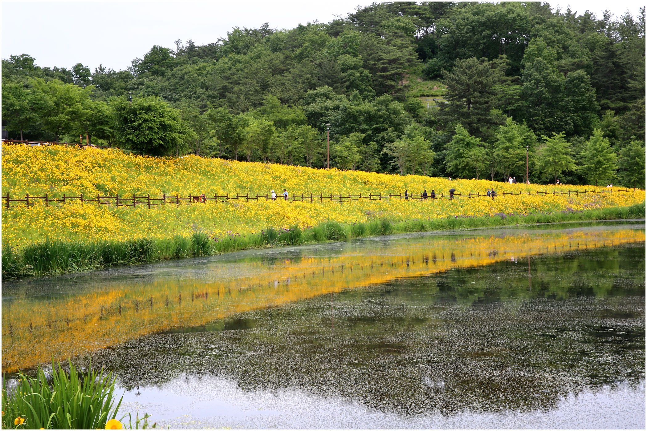  | PHOTO BY : 몰운대/조태열  |