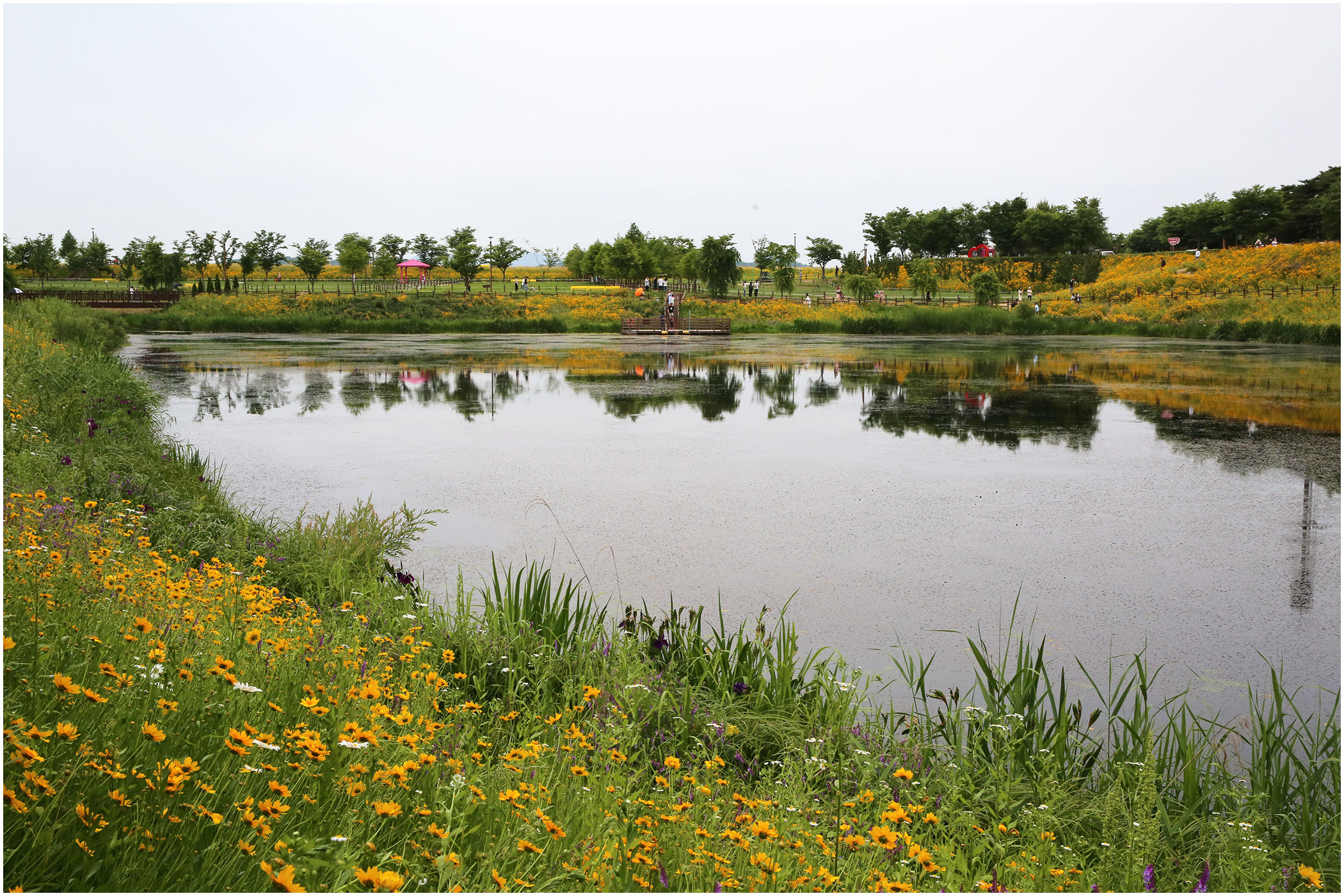   | PHOTO BY : 몰운대/조태열  |