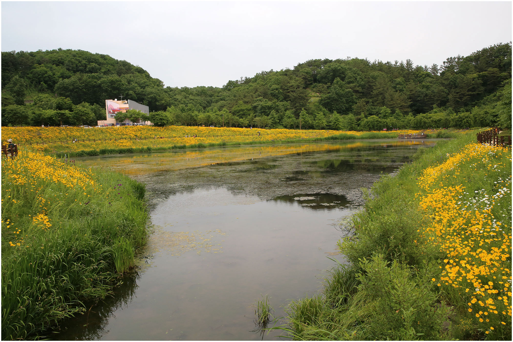   | PHOTO BY : 몰운대/조태열  |