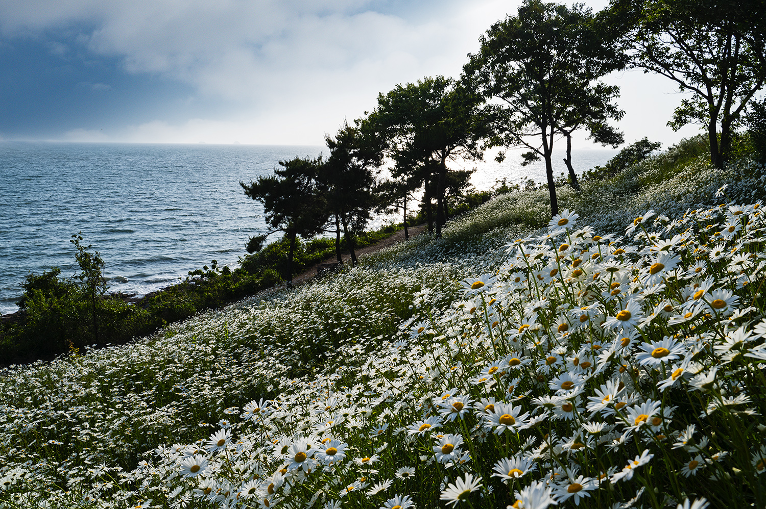 PHOTO BY  | NIKON Z 6_2 | 2024:05:16 17:37:01 | ISO-200 | 1/500 sec | f 11 | 28 mm | EV=-0.3 | ● WIDTH:1500 pixels  HEIGHT:998 pixels