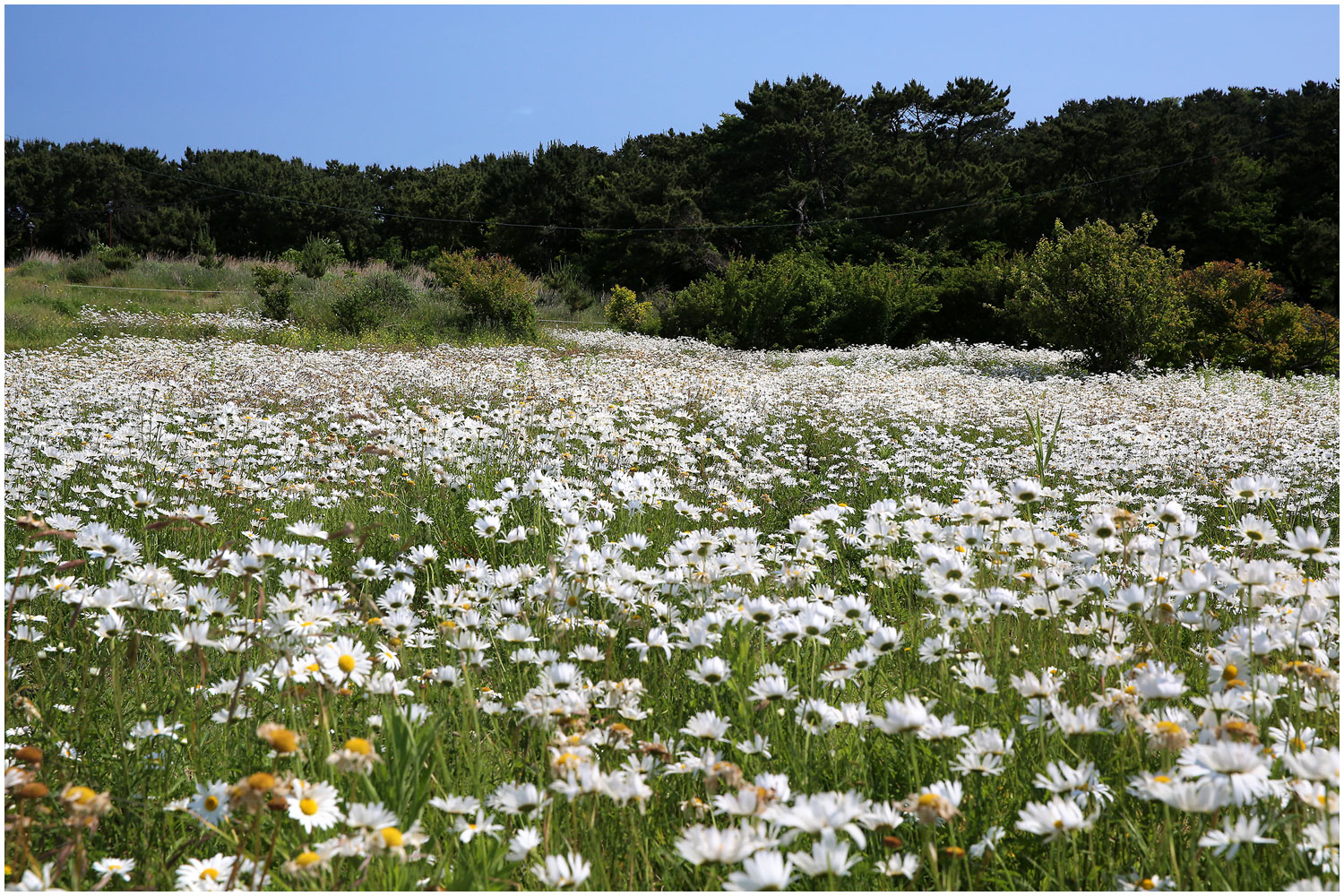   | PHOTO BY : 몰운대/조태열  |