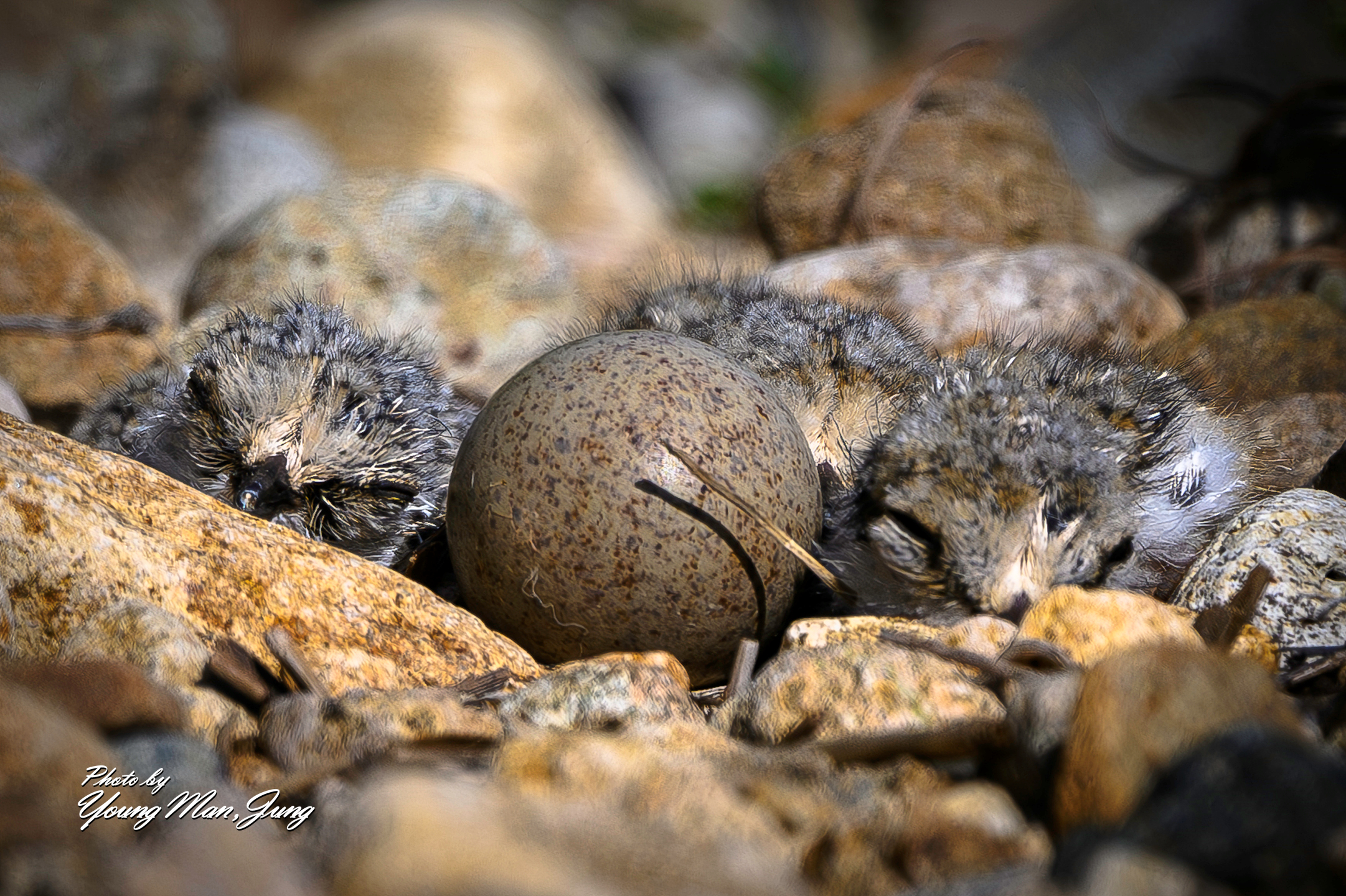   | PHOTO BY : 카파/정영만  |