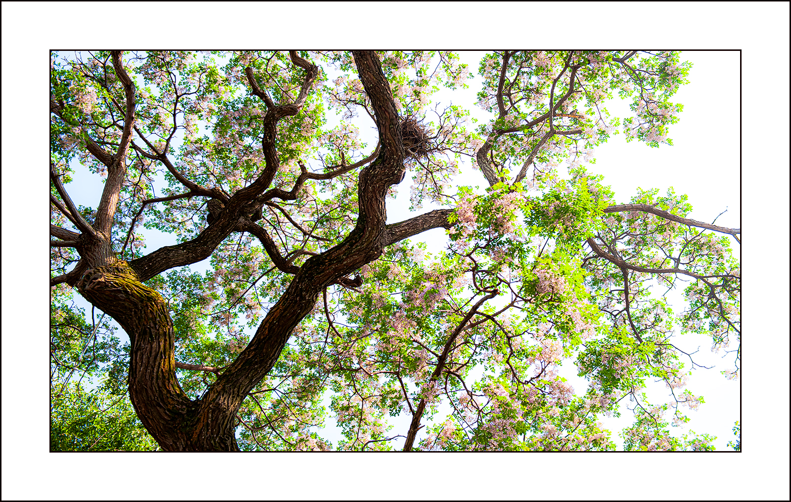   | PHOTO BY : 삿갓/정봉식  |