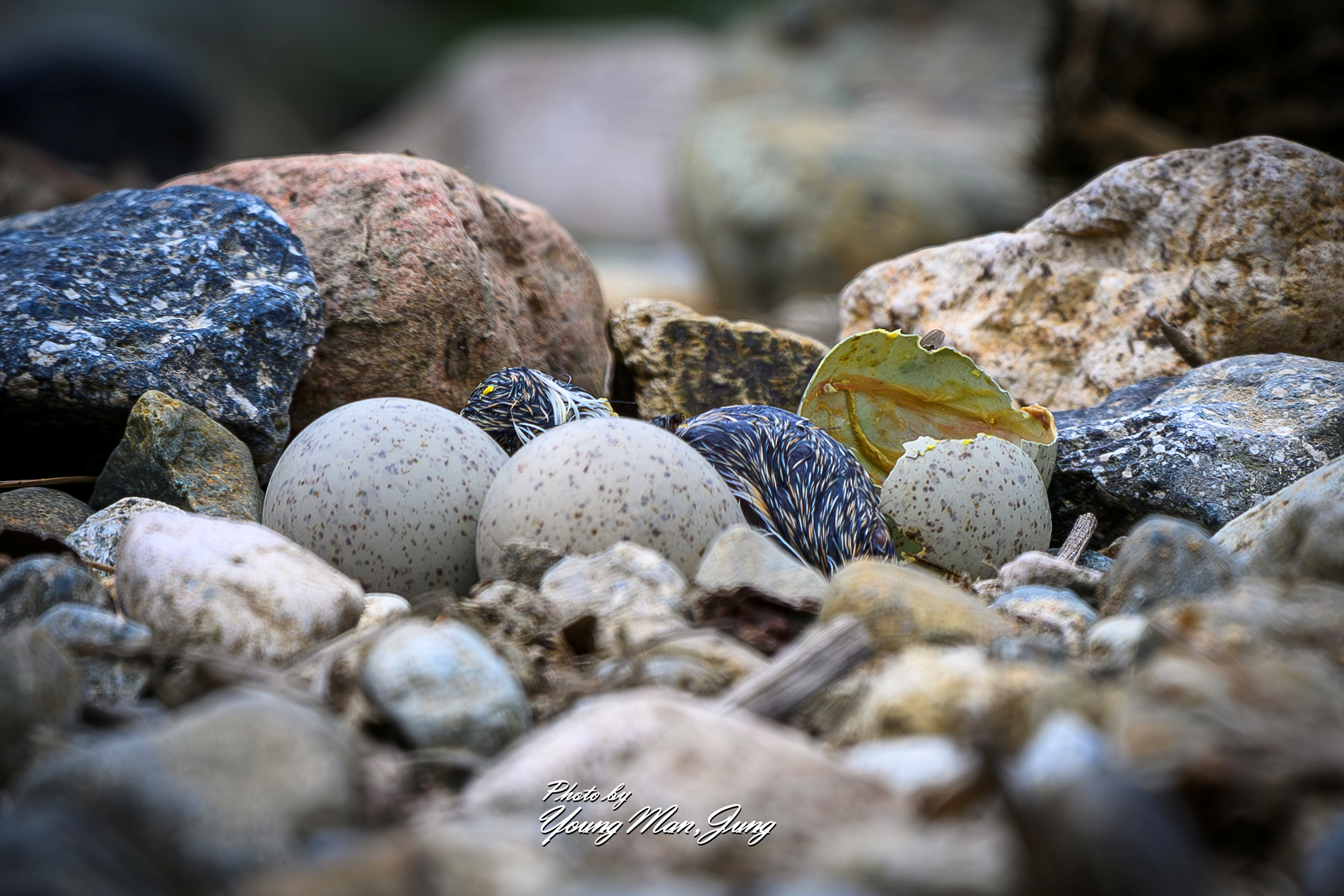   | PHOTO BY : 카파/정영만  |
