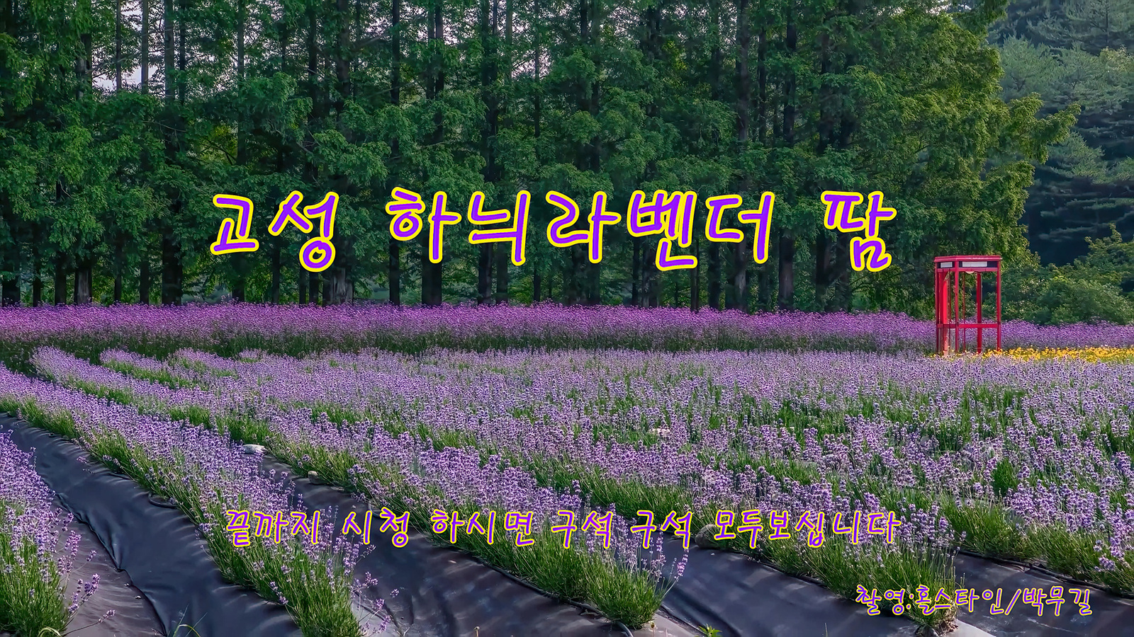   | PHOTO BY : 홀스타인/박무길  |