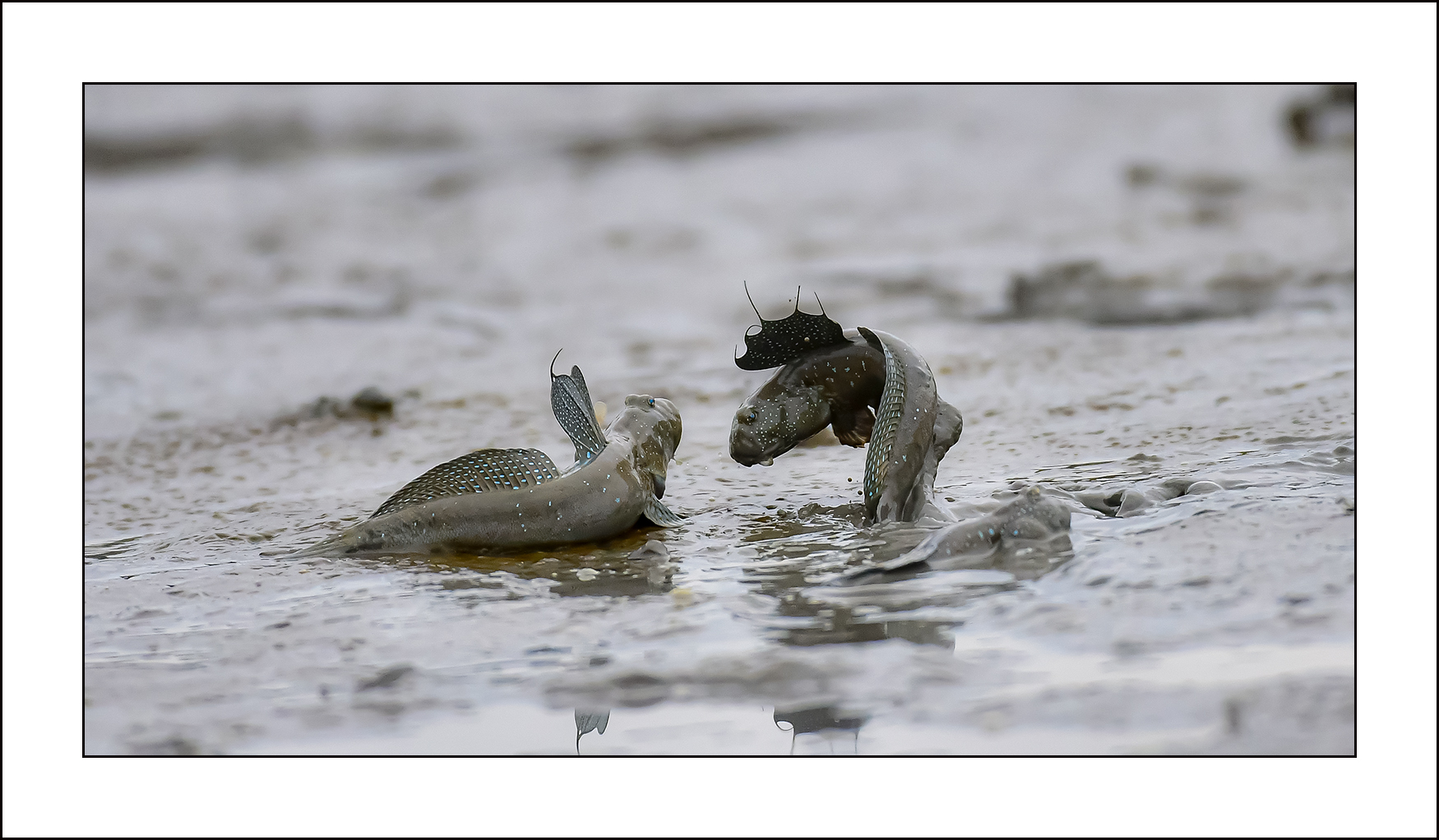  | PHOTO BY : 삿갓/정봉식  |