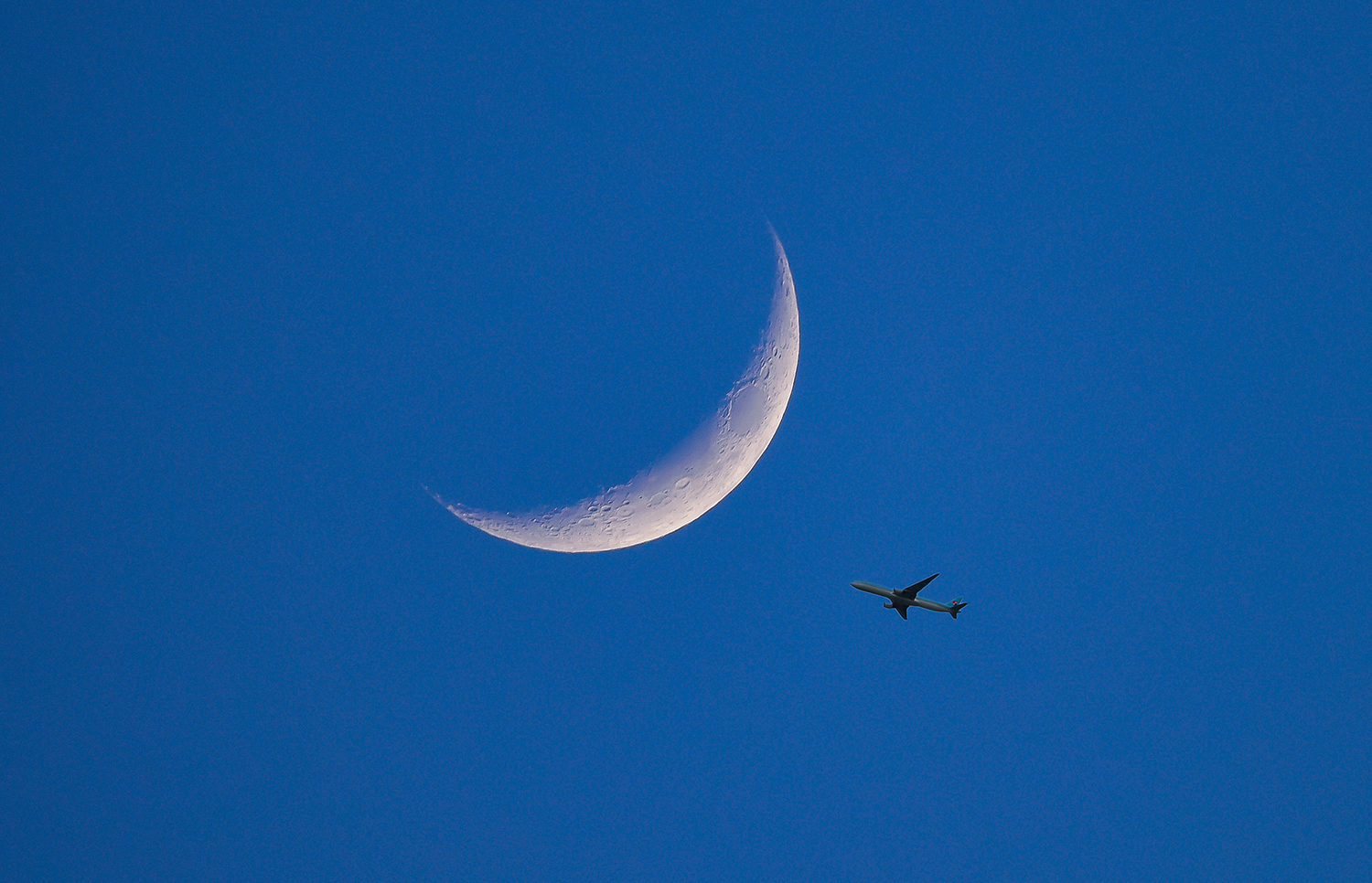 PHOTO BY ZENITHJin62 | NIKON D810 | 2024:06:10 19:46:30 | ISO-400 | 1/160 sec | f 6.3 | 600 mm | EV=0 | ● WIDTH:1500 pixels  HEIGHT:966 pixels