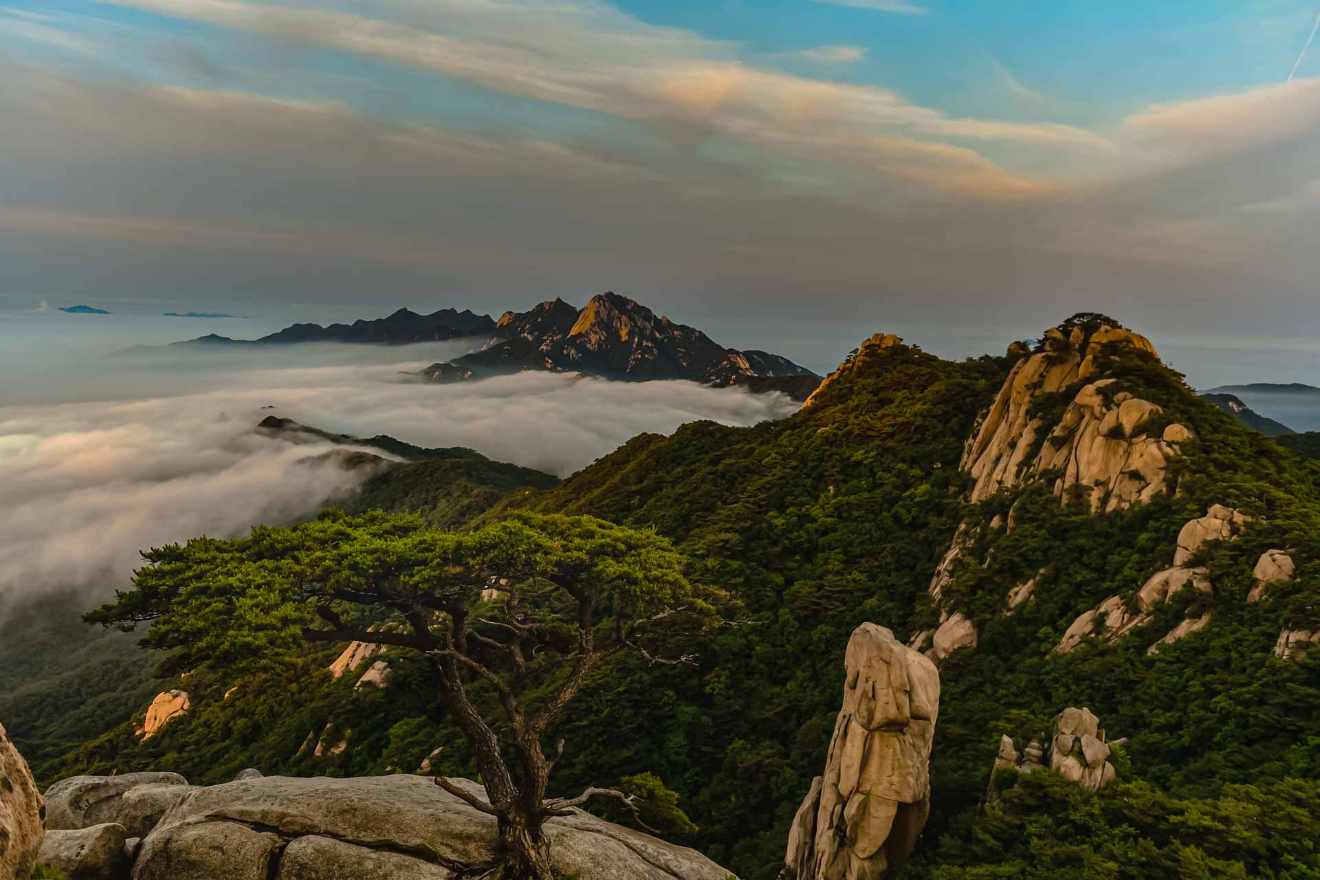 PHOTO BY Jae Ik Lee | NIKON D850 | 2024:06:09 05:20:54 | ISO-200 | 1/100 sec | f 4 | 27 mm | EV=0 | ● WIDTH:  HEIGHT: