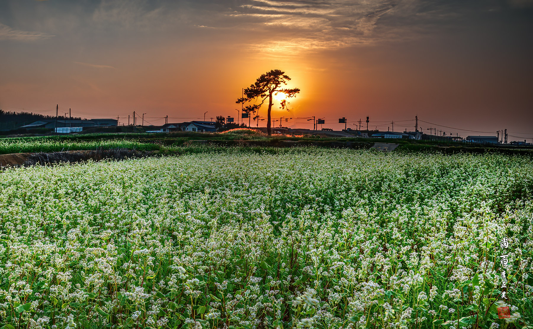 PHOTO BY  | Canon EOS 5D Mark IV | 2024:06:12 19:15:35 | ISO-50 | 1/15 sec | f 16 | 55 mm | EV=0 | ● WIDTH:1800 pixels  HEIGHT:1111 pixels
