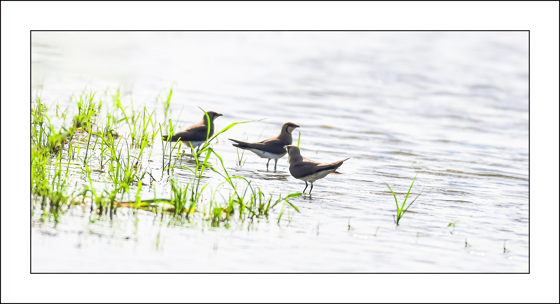   | PHOTO BY : 삿갓/정봉식  |