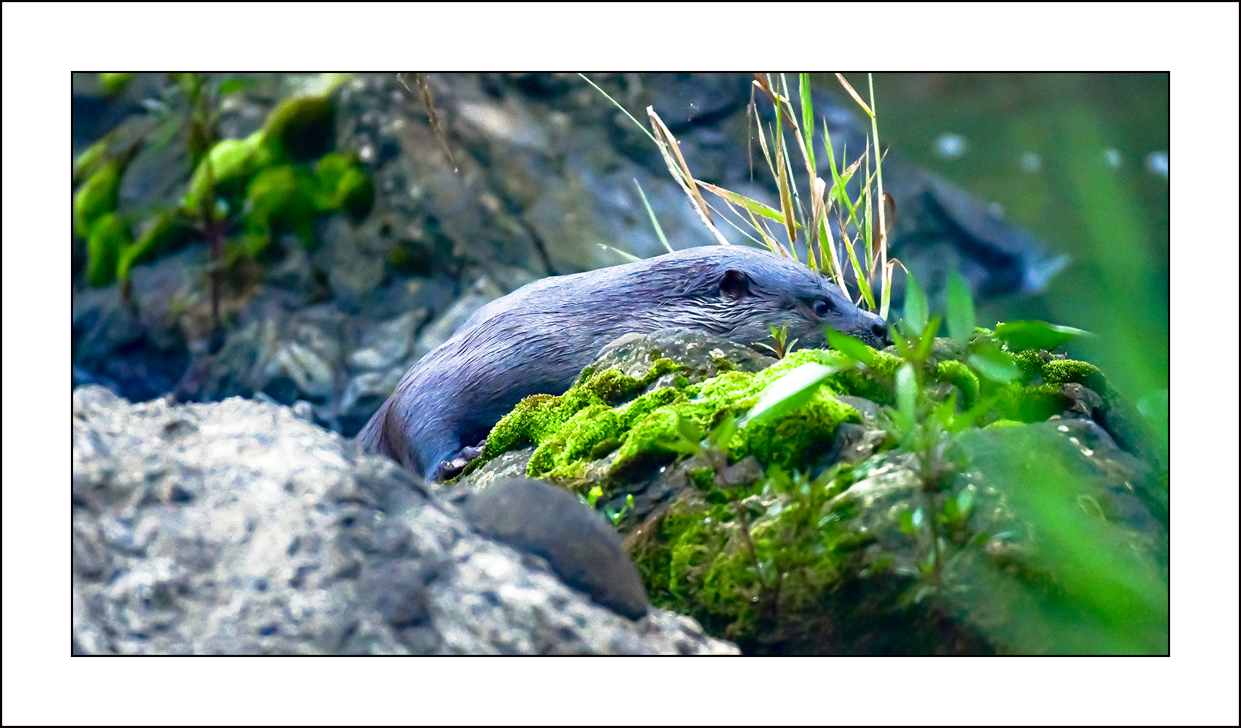  | PHOTO BY : 삿갓/정봉식  |